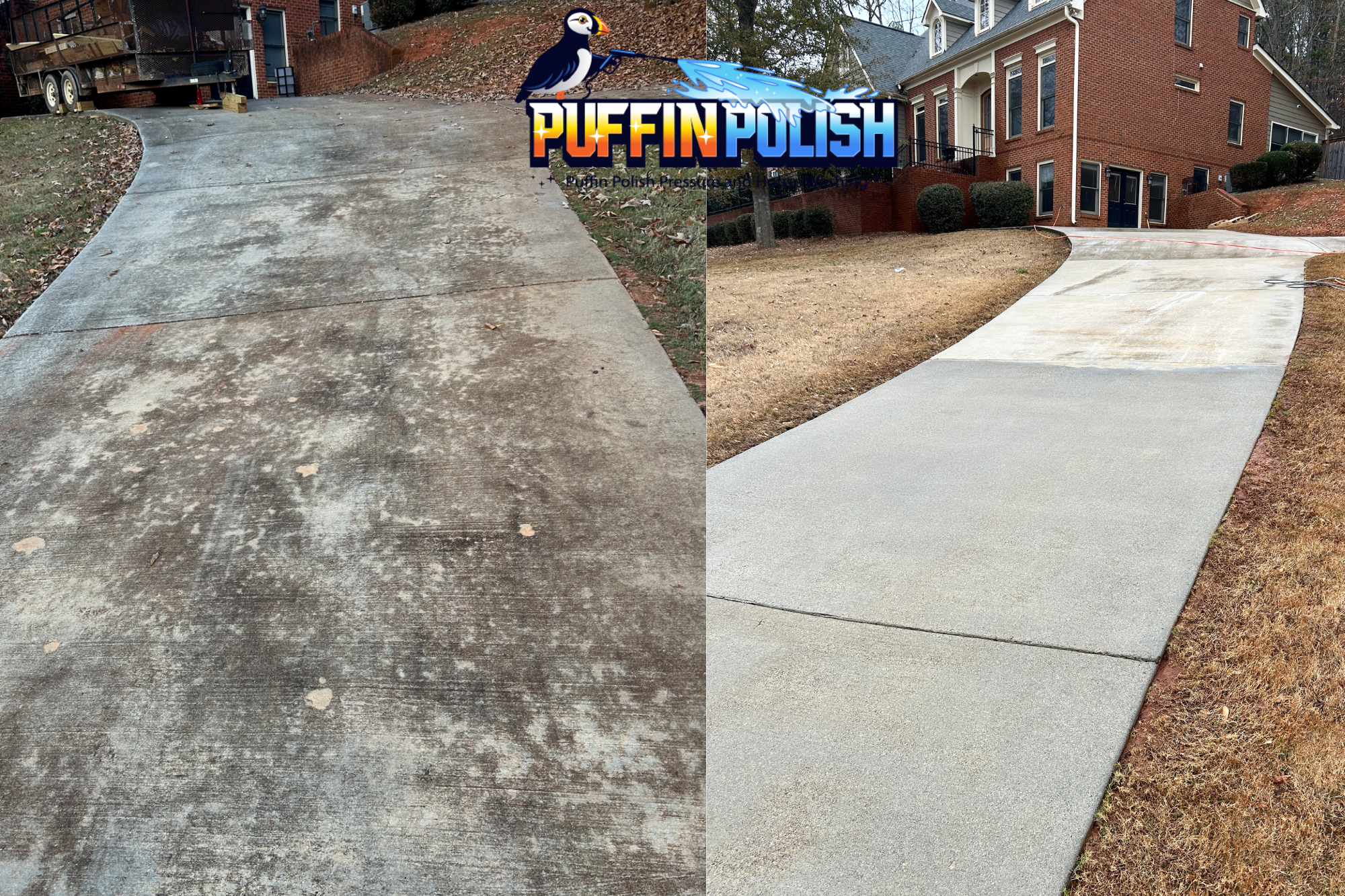 Untitled design (18).PNG