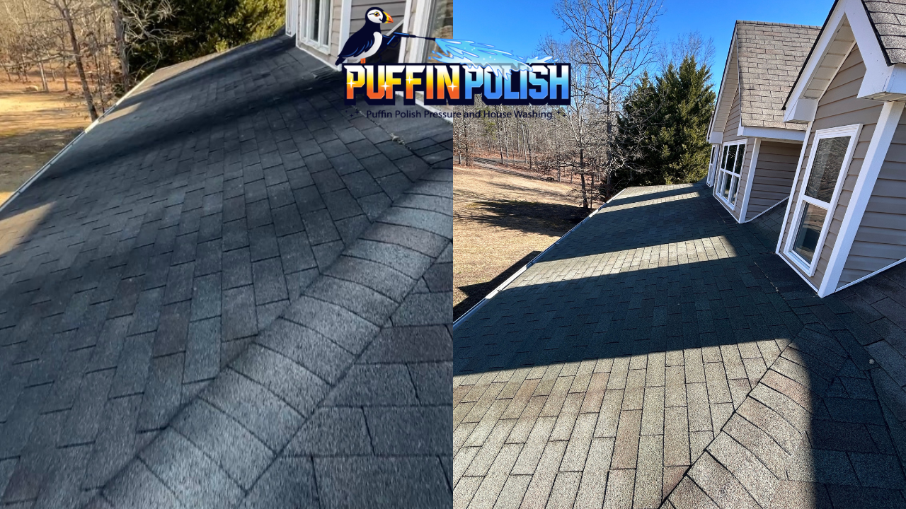 Untitled design (25).png