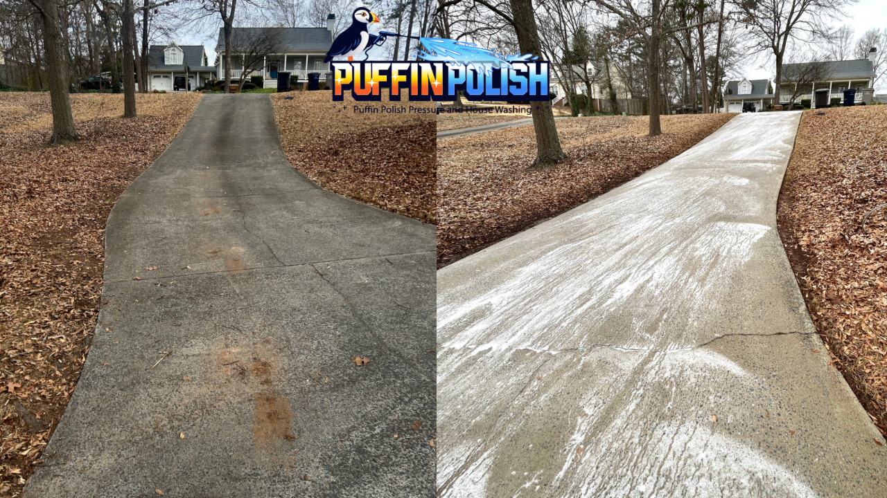 Untitled design (29).PNG