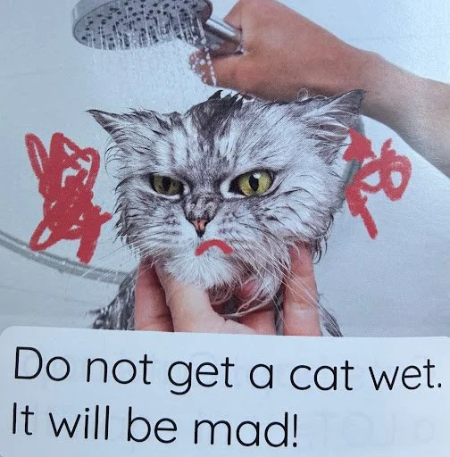 decodable.jpg