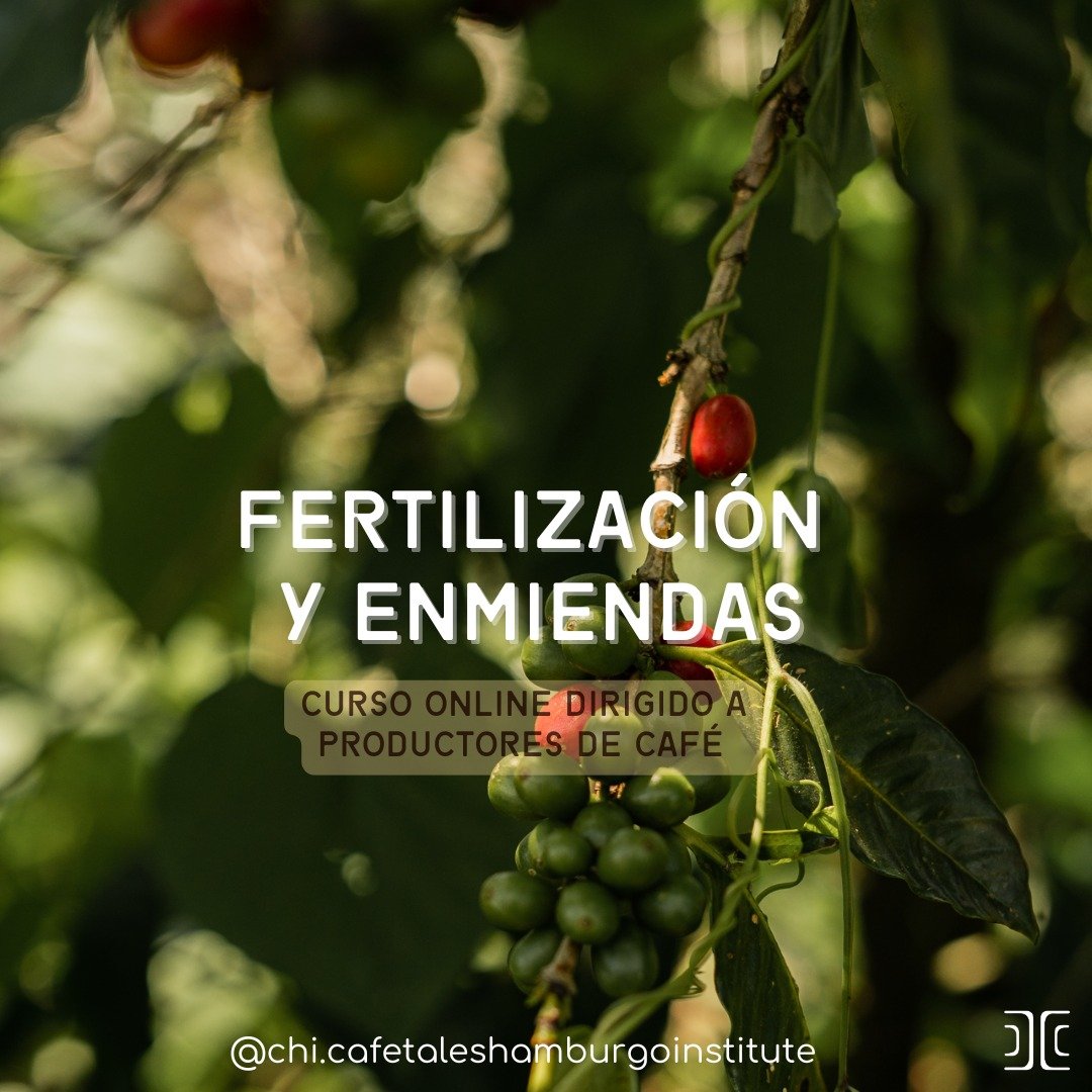 Uno de los puntos focales a desarrollar en el Cafetales Hamburgo Institute, es la b&uacute;squeda e implementaci&oacute;n de herramientas que faciliten el acceso al conocimiento de las personas que trabajan directamente con la planta de caf&eacute;.
