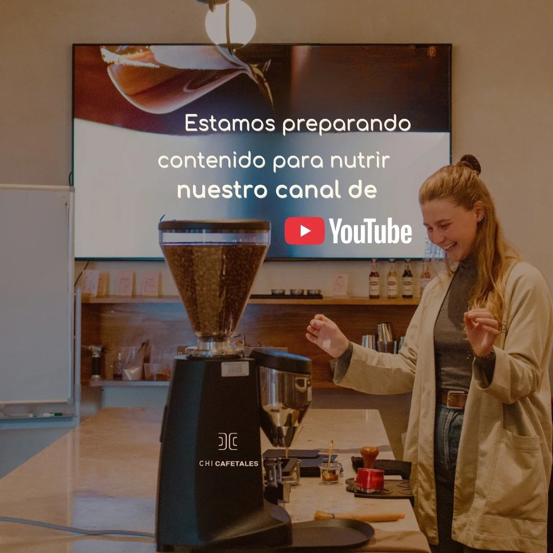 Queremos conectarnos contigo a trav&eacute;s de nuestro canal digital. &iquest;Ya nos sigues?  B&uacute;scanos como CAFETALES CHI en Youtube.