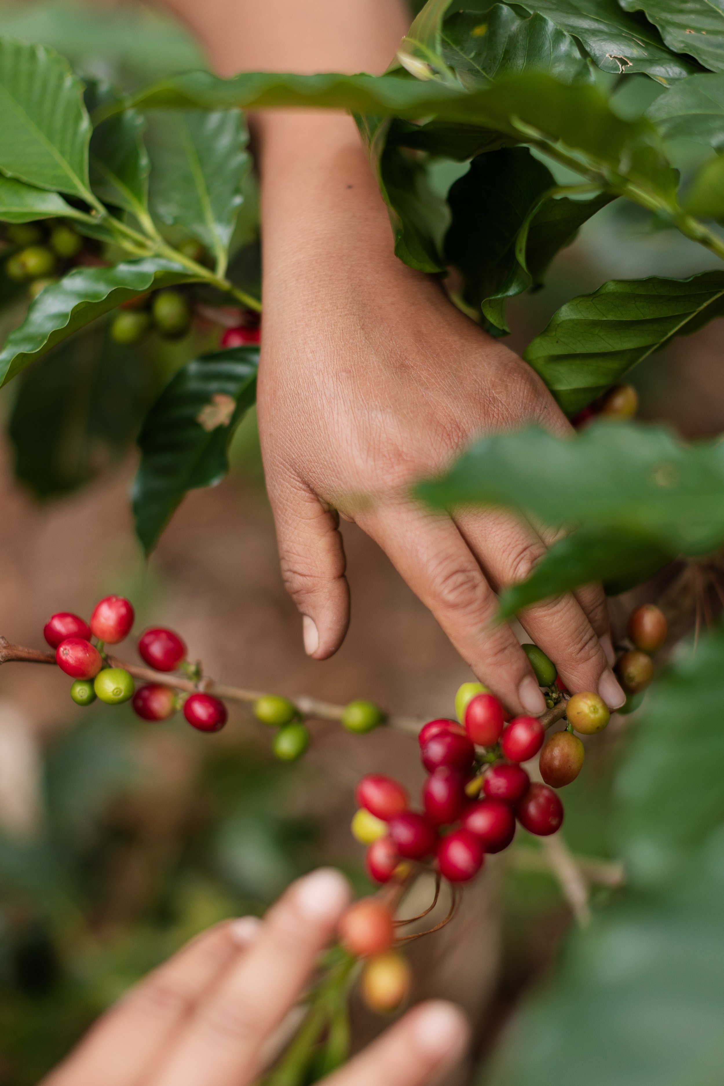 WPCS 2025: Una cumbre feminista entre montañas