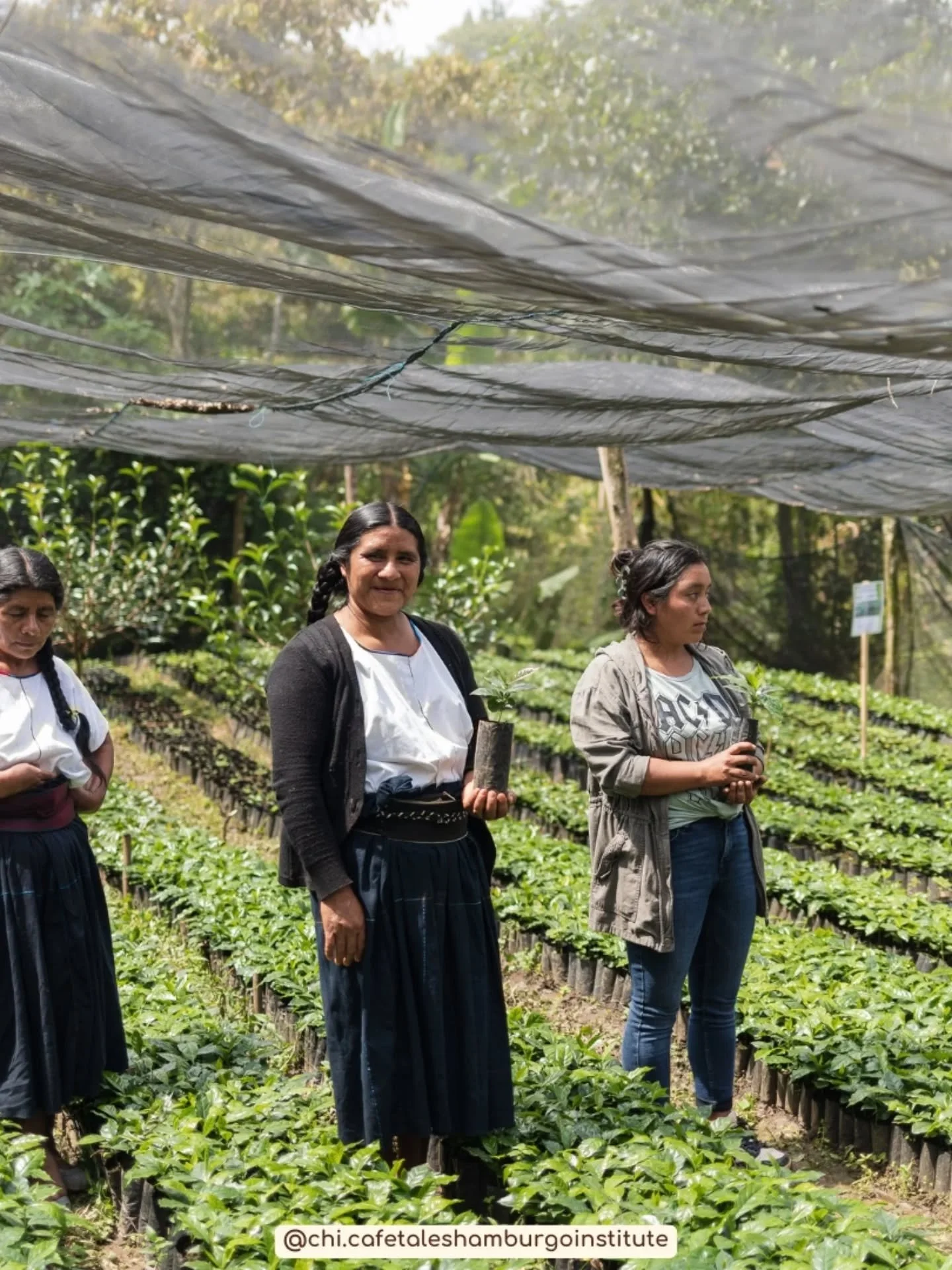 Escribimos un texto, para compartirles nuestras &quot;semillas de inspiraci&oacute;n&quot; con motivo de la pasada Cumbre de Mujeres en el Caf&eacute; 2025. 

Fuimos anfitrionas de un par de rondas de cata, llevadas a cabo en nuestras aulas de capaci