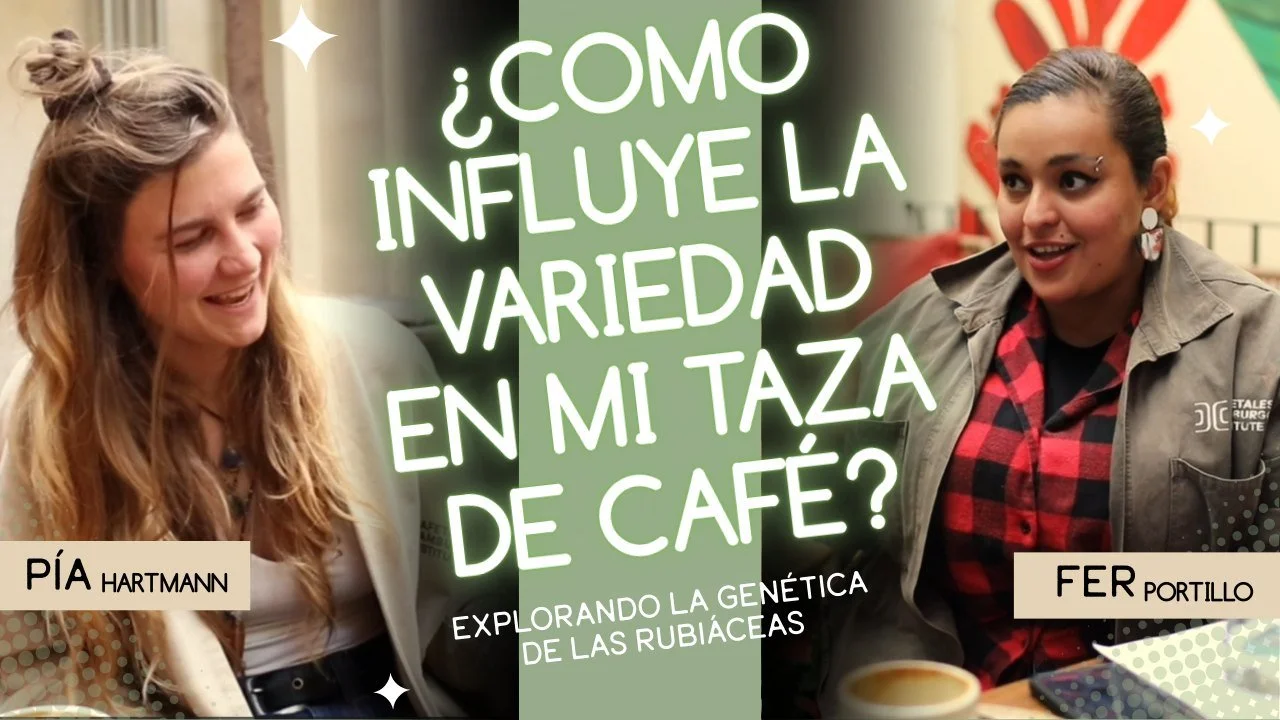 Acompa&ntilde;a a Fer y a P&iacute;a, en esta exploraci&oacute;n por las bases de la enorme biodiversidad gen&eacute;tica de nuestra planta favorita en el CHI: Coffea Rubiaceae.

En nuestros &uacute;ltimos videos, te contamos que estamos viviendo den