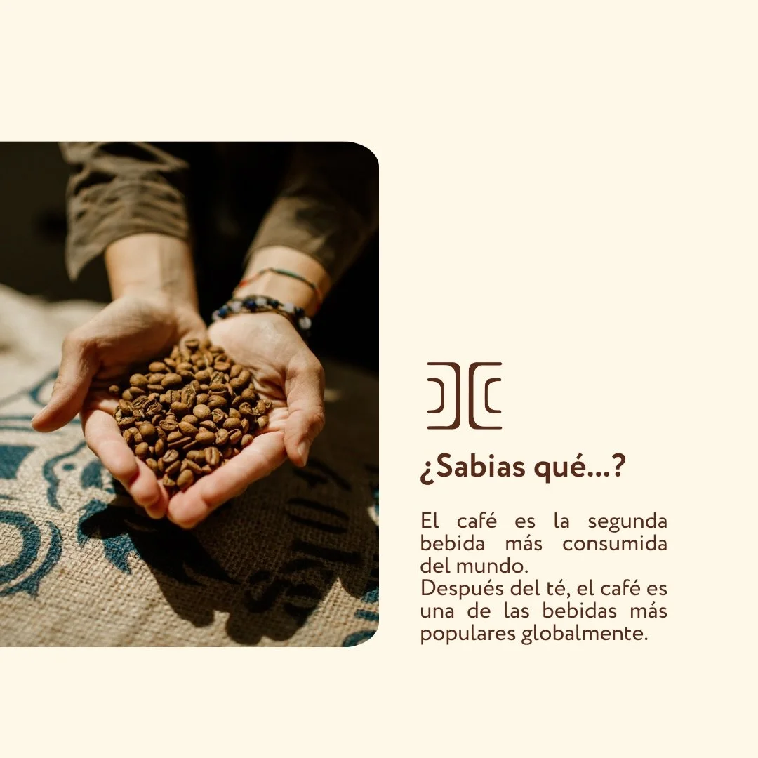 🤎☕️ &iquest;Qu&eacute; piensas el caf&eacute; es un gusto o una necesidad?

#coffee #coffeetime #coffelovers #sabiasque