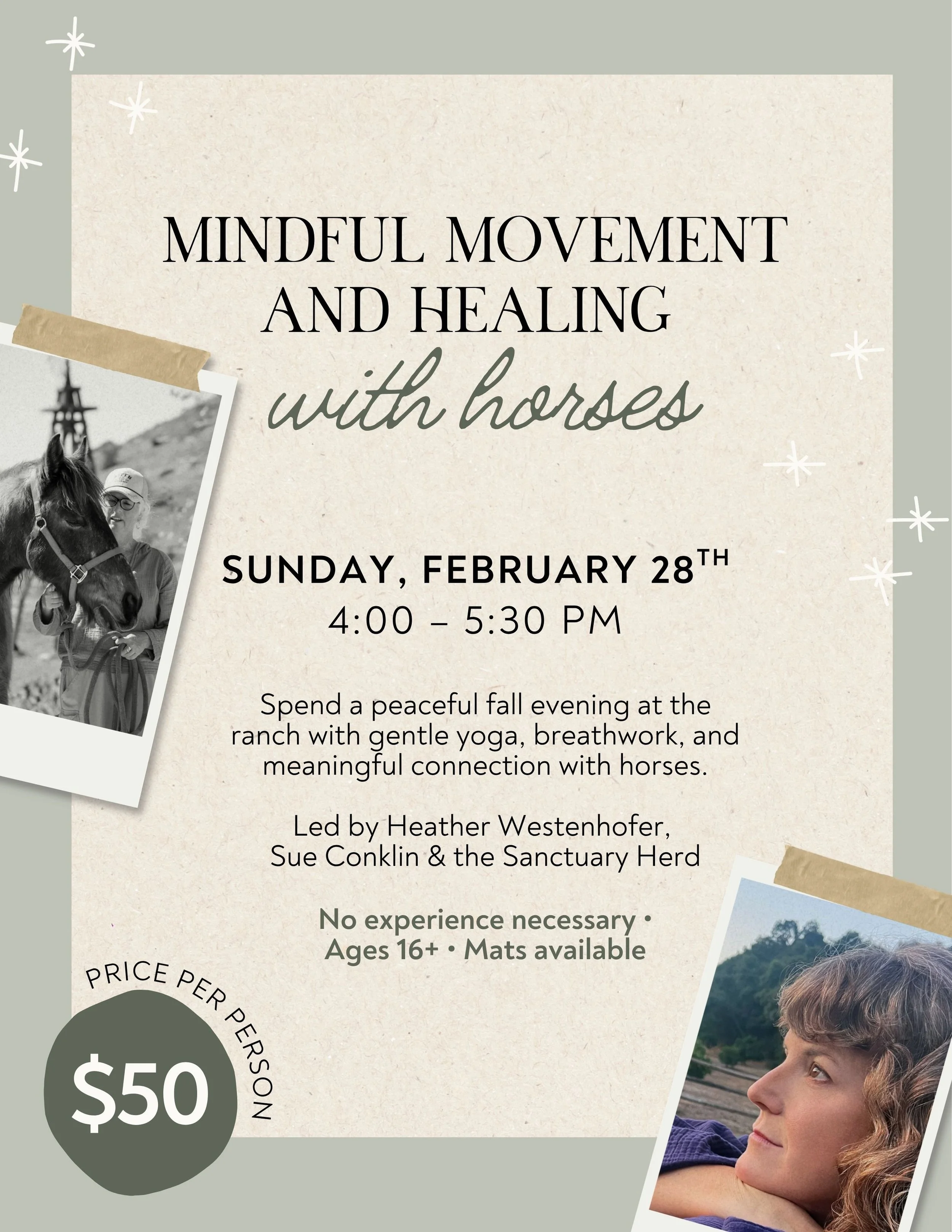 Mindful Movement and Healing with Horses