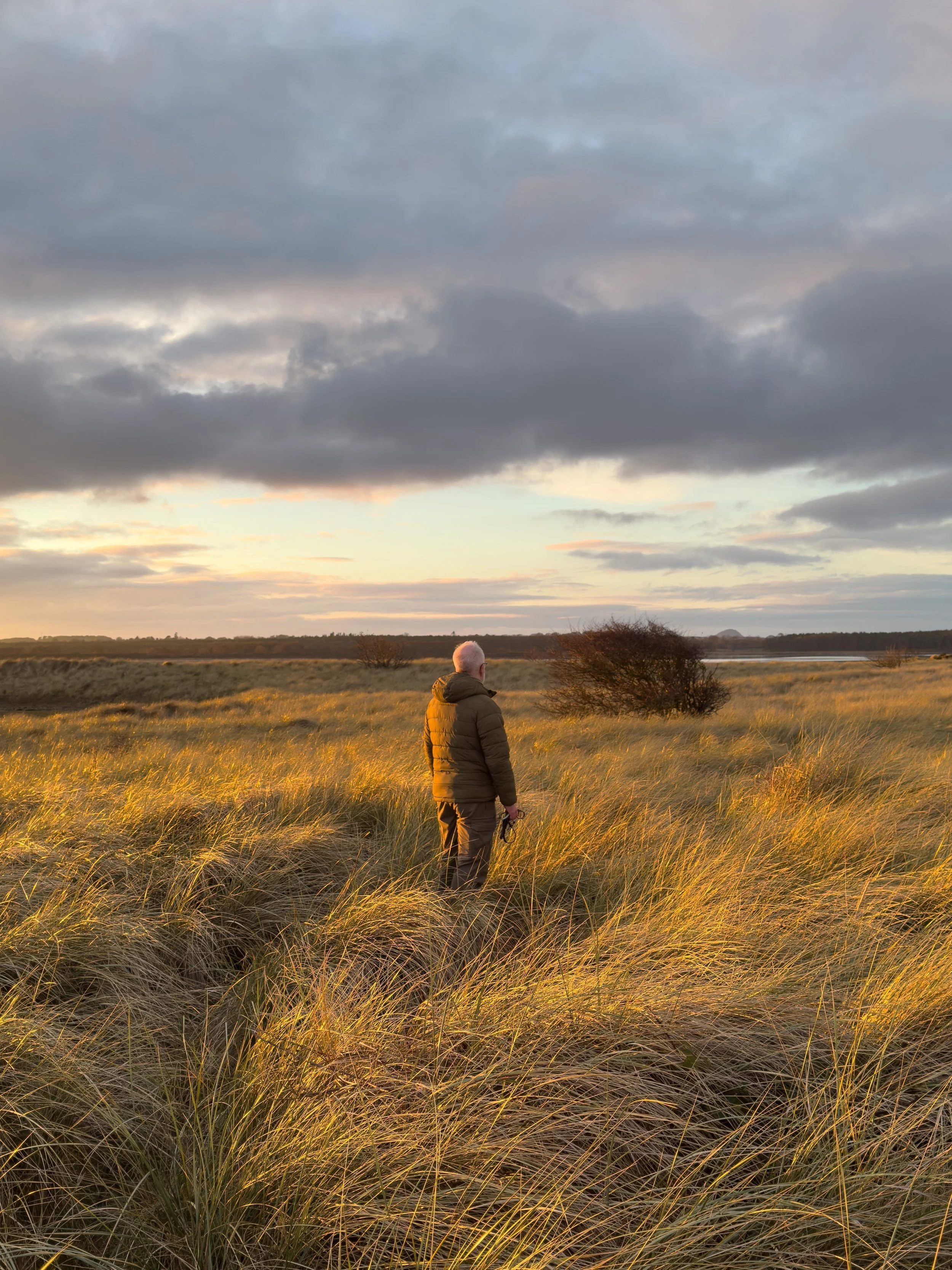 sunset over the dunes