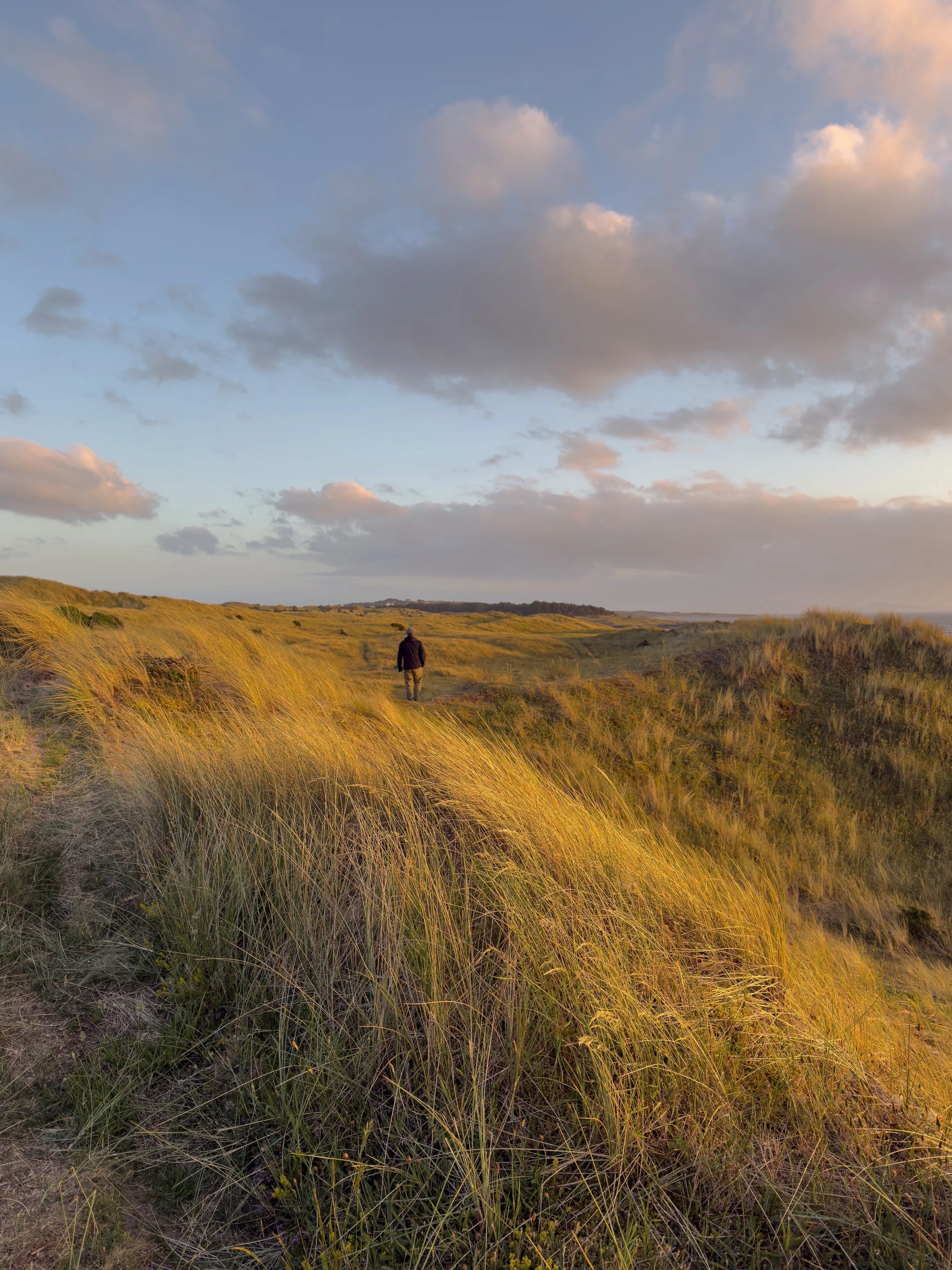 Looking along the dunes, as the setting sun glows across the grasses, with clouds above also glowing with the light. A man is walking away from the camera, in the middle distance.