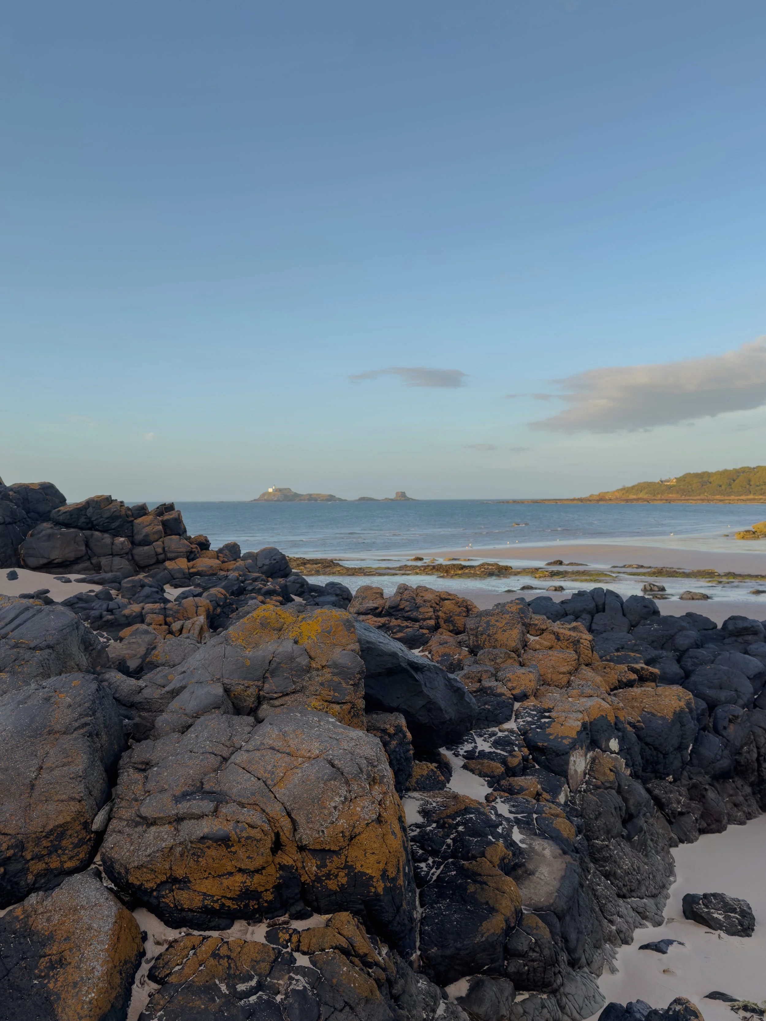 The view towards Fidra island from Eyebroughy beach, with rocks in the foreground. It is low tide and the sea is calm. The sun is glowing on the island.