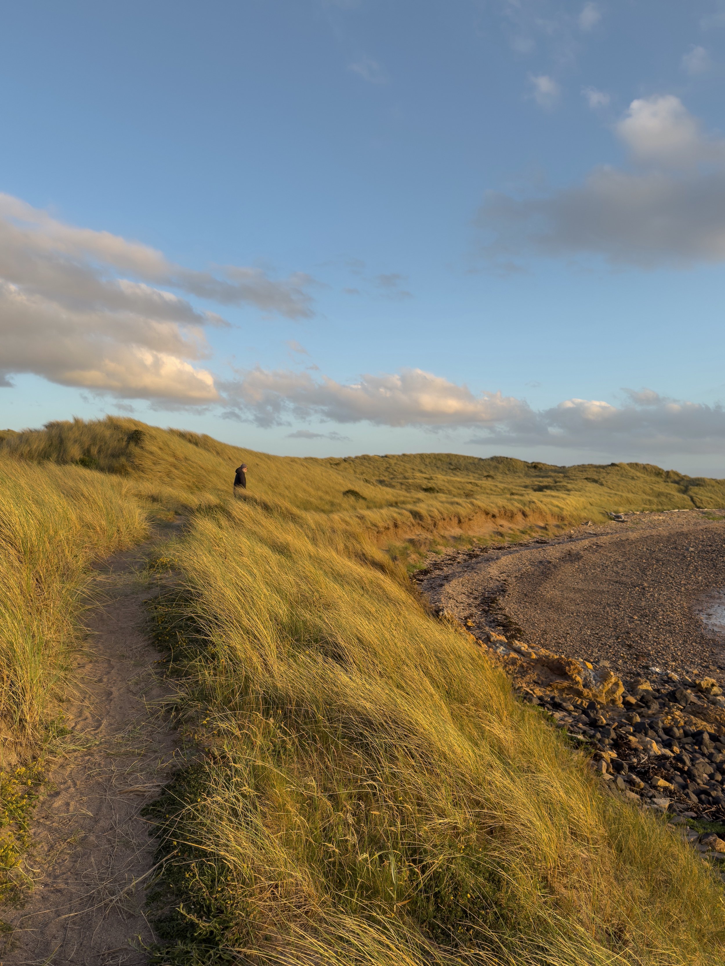 A path along the dunes, with golden sunlight washing across the grasses, and a rocky and pebbly shore.