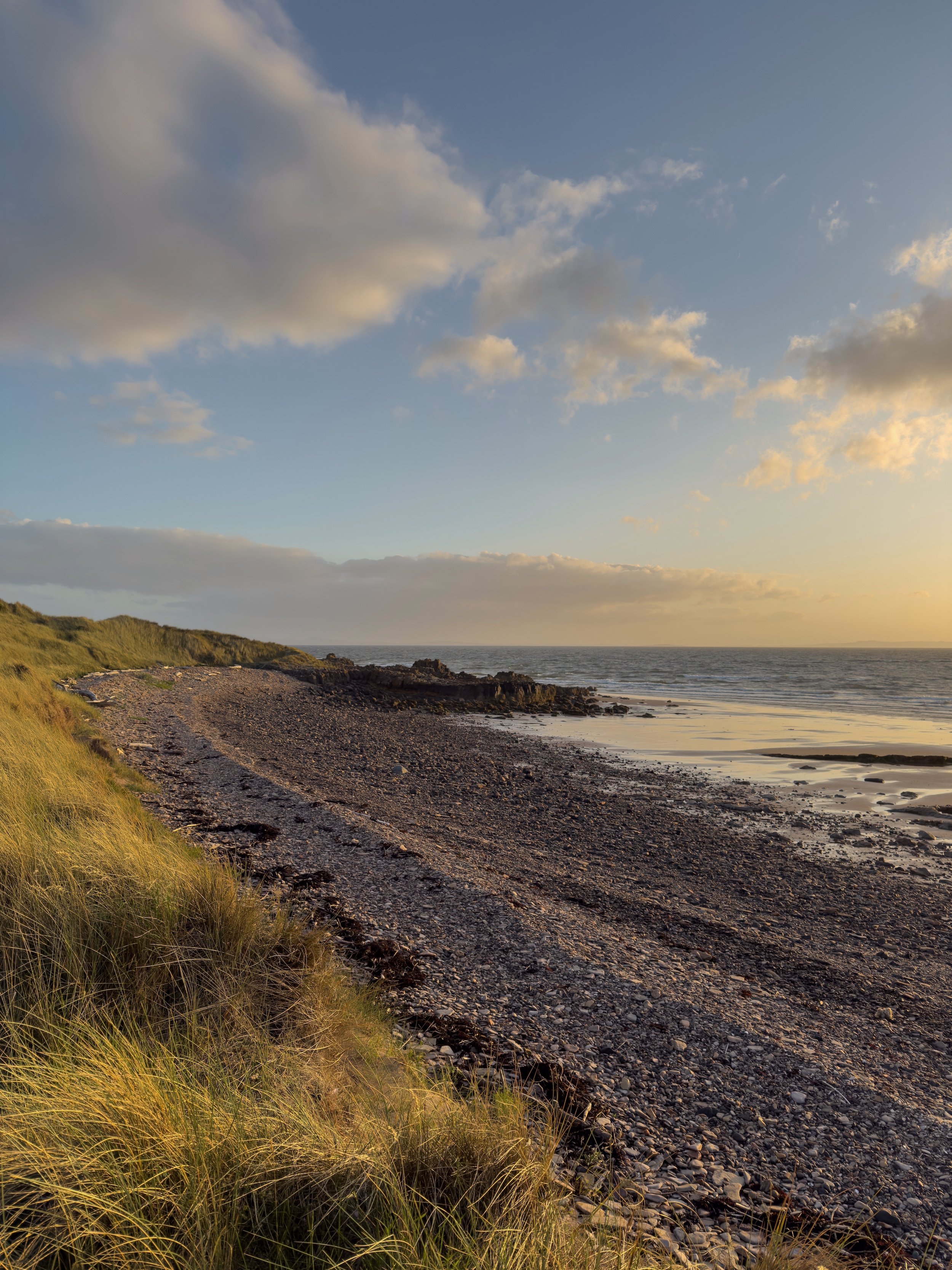 The view along a pebbly and rocky shore, with a calm sea at low tide, as the sun is setting casting a glow across the dune grasses.