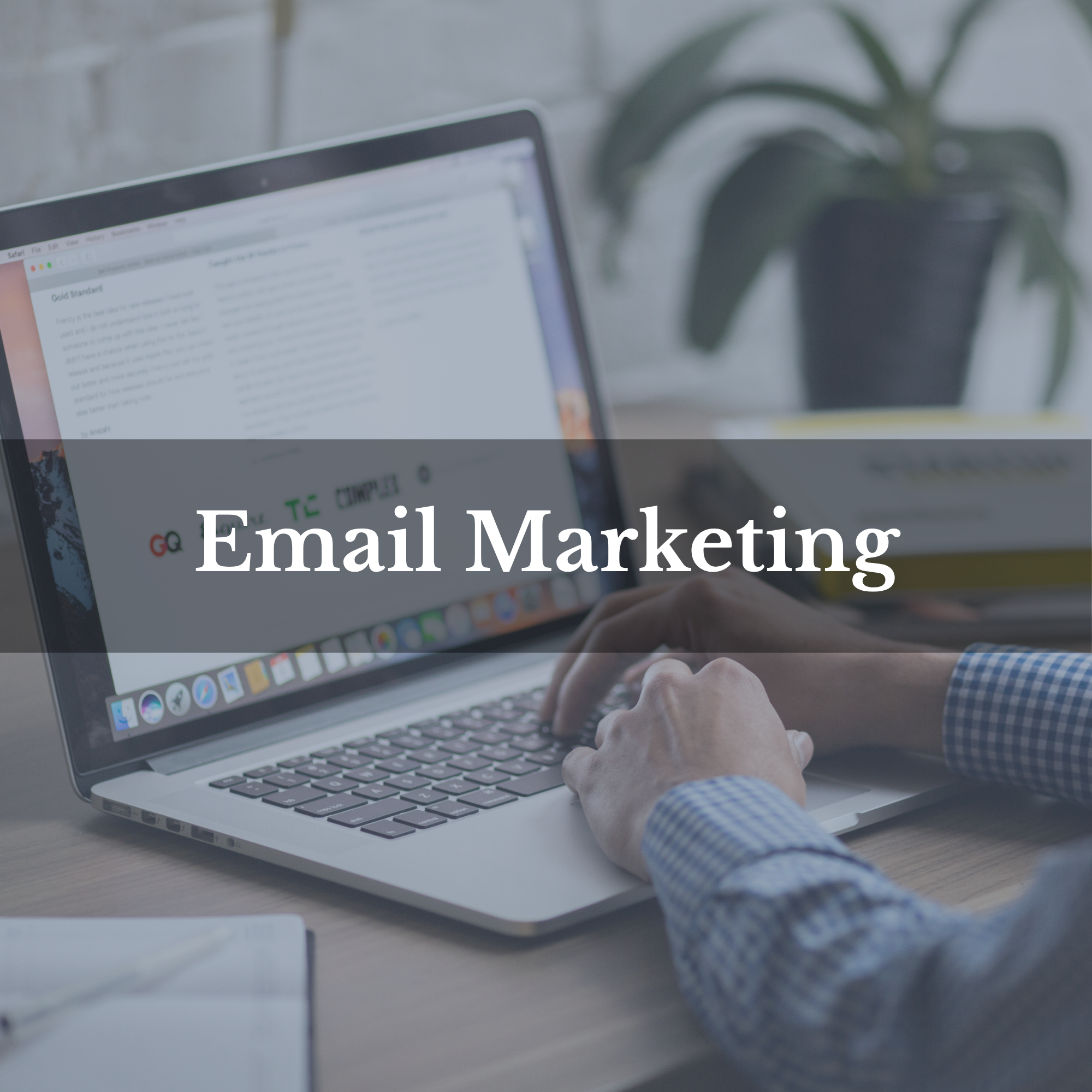 A person working on a laptop with a screen displaying text and graphics, with a potted plant in the background, overlaid with the text 'Email Marketing'.