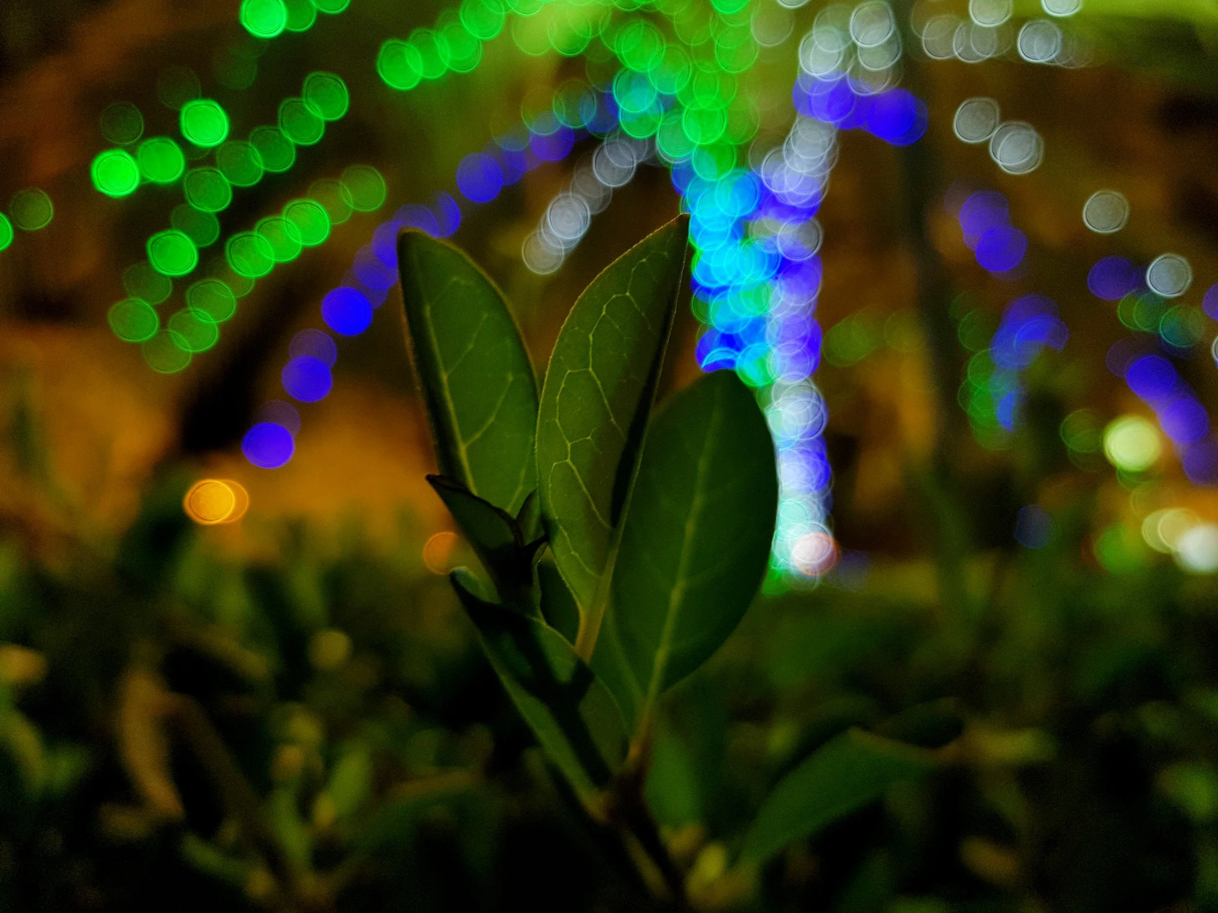 unsplash-image-SGc48Fn5Zhs.jpg