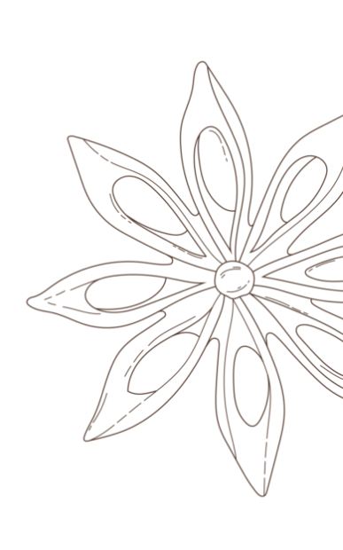 Mama and Smush star anise graphic