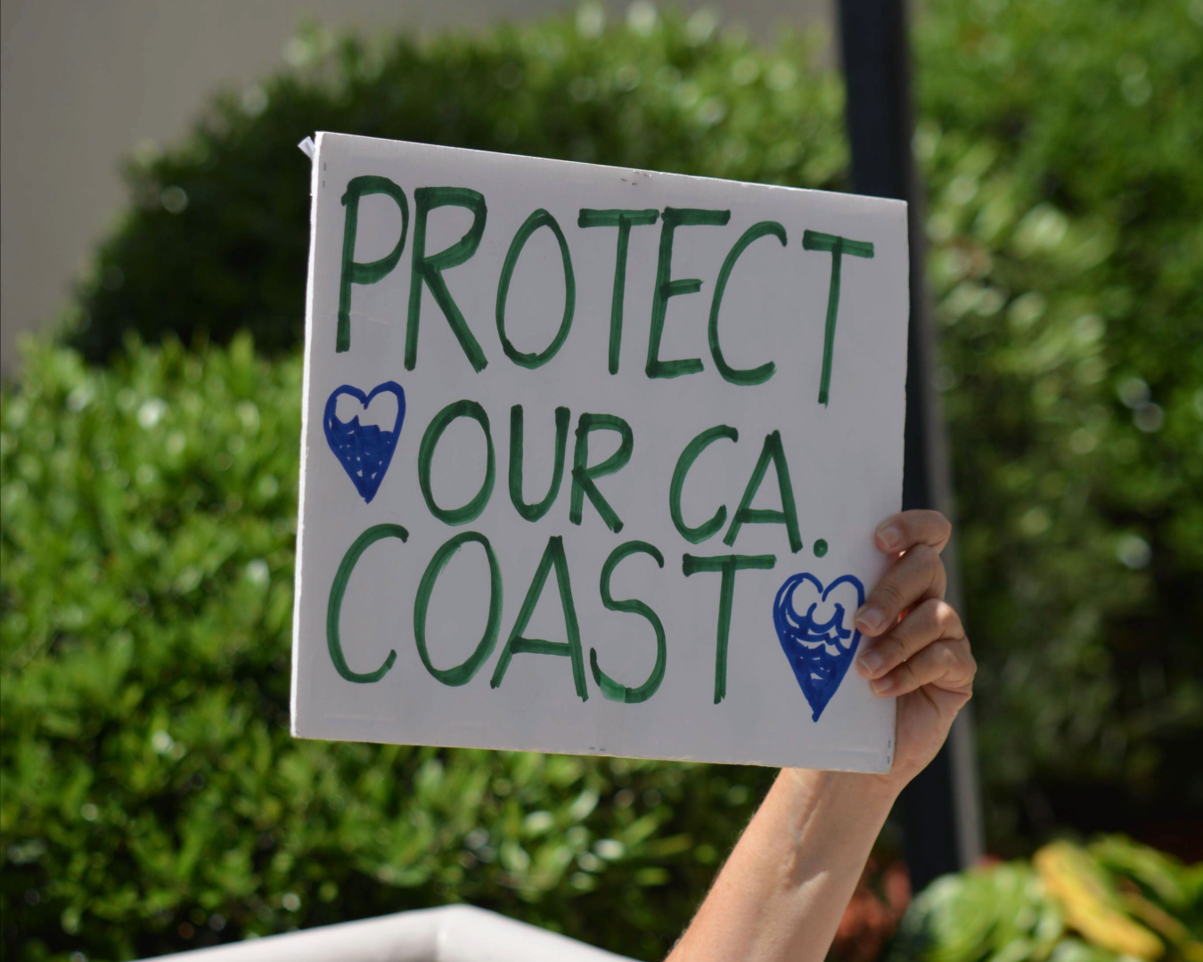 Hand holding sign that reads "Protect our CA Coast"