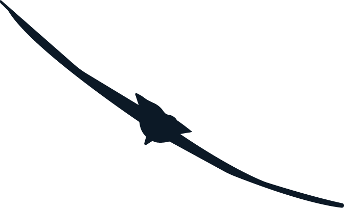 Dark silhouette of a fighter jet aircraft flying in a clear sky.