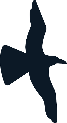 Silhouetted side view of a bird, likely a duck or similar waterfowl.