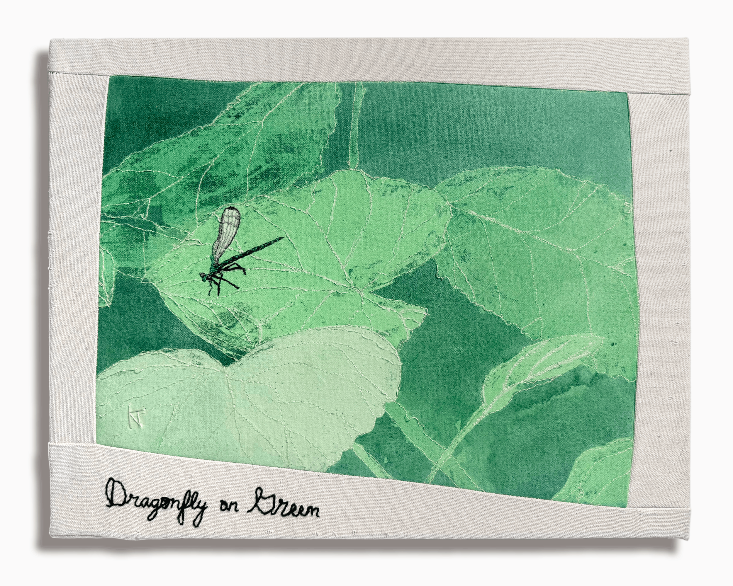 Dragonfly on Green (11" X 14") - SOLD
