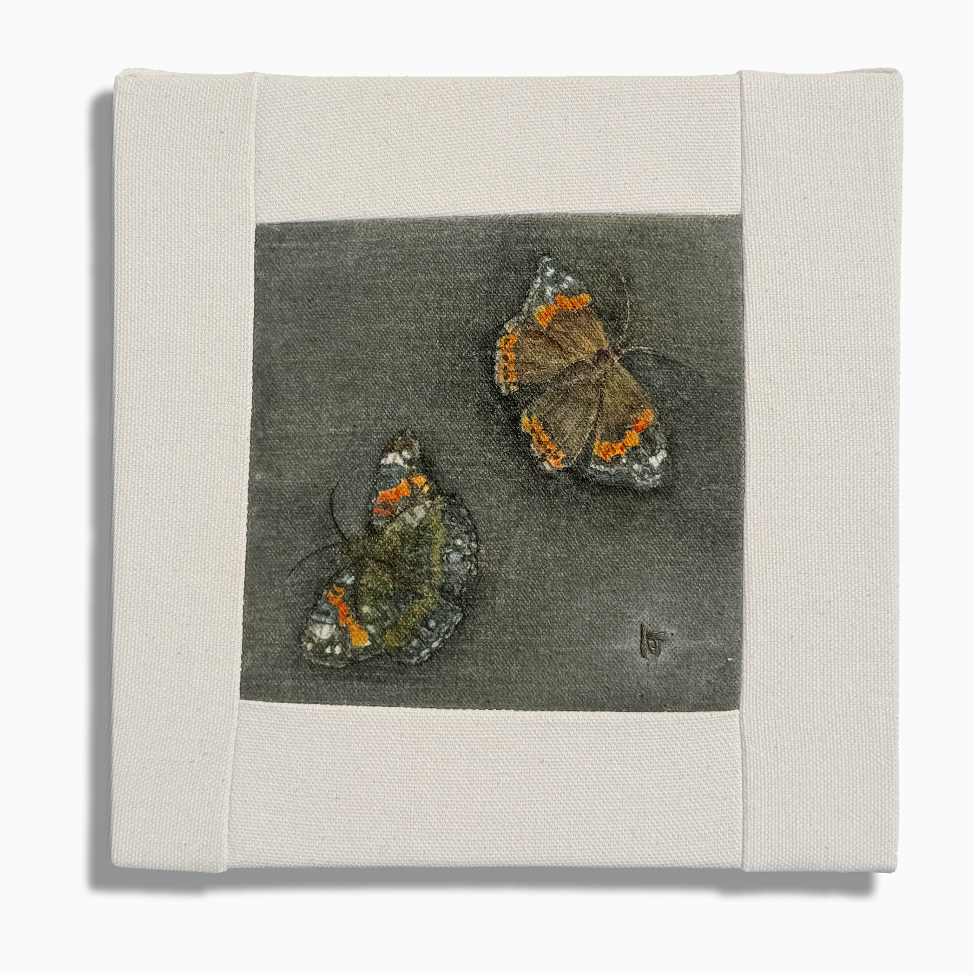 Flutter (8" X 8") - SOLD