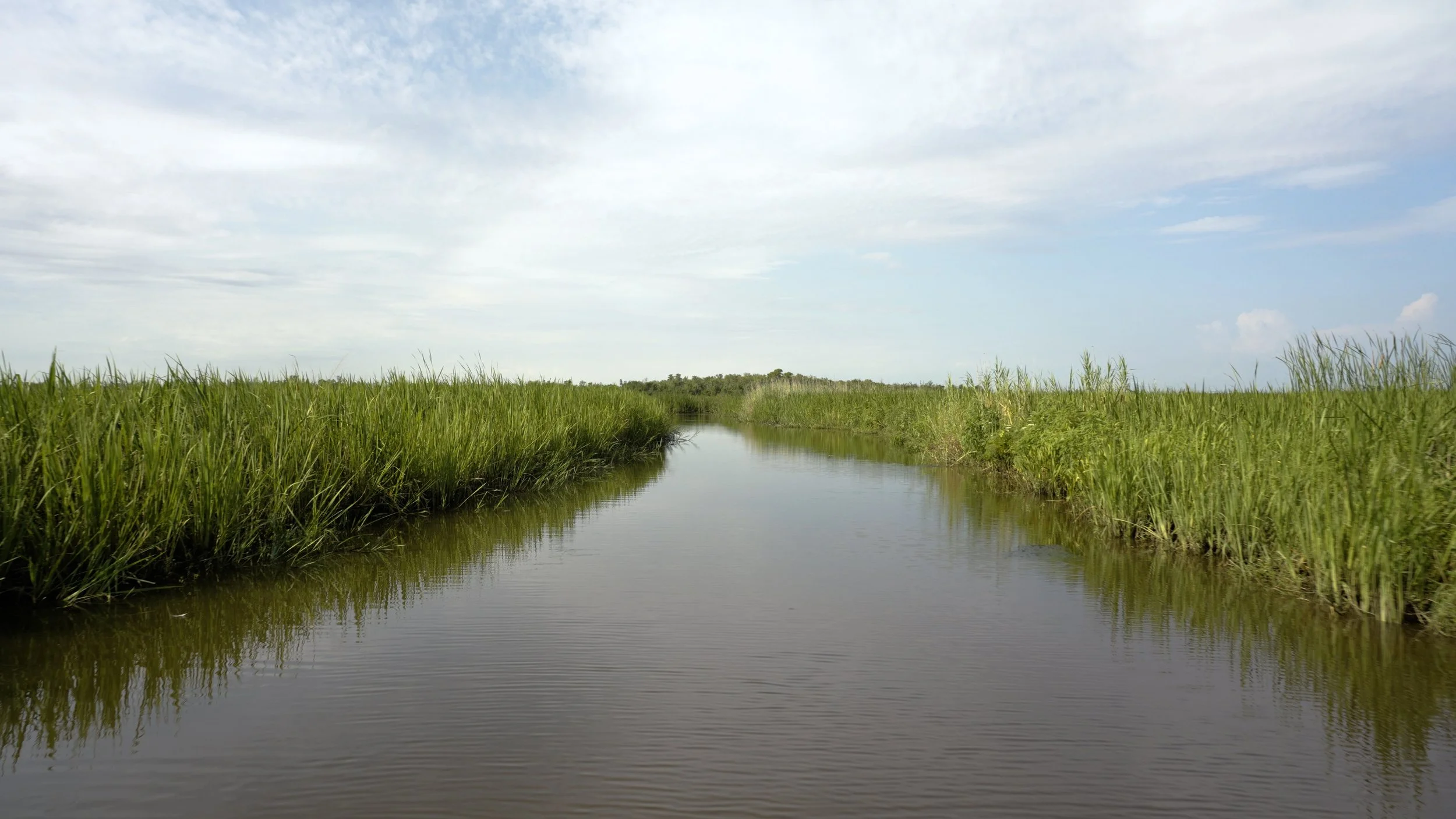 tensaw delta.jpg
