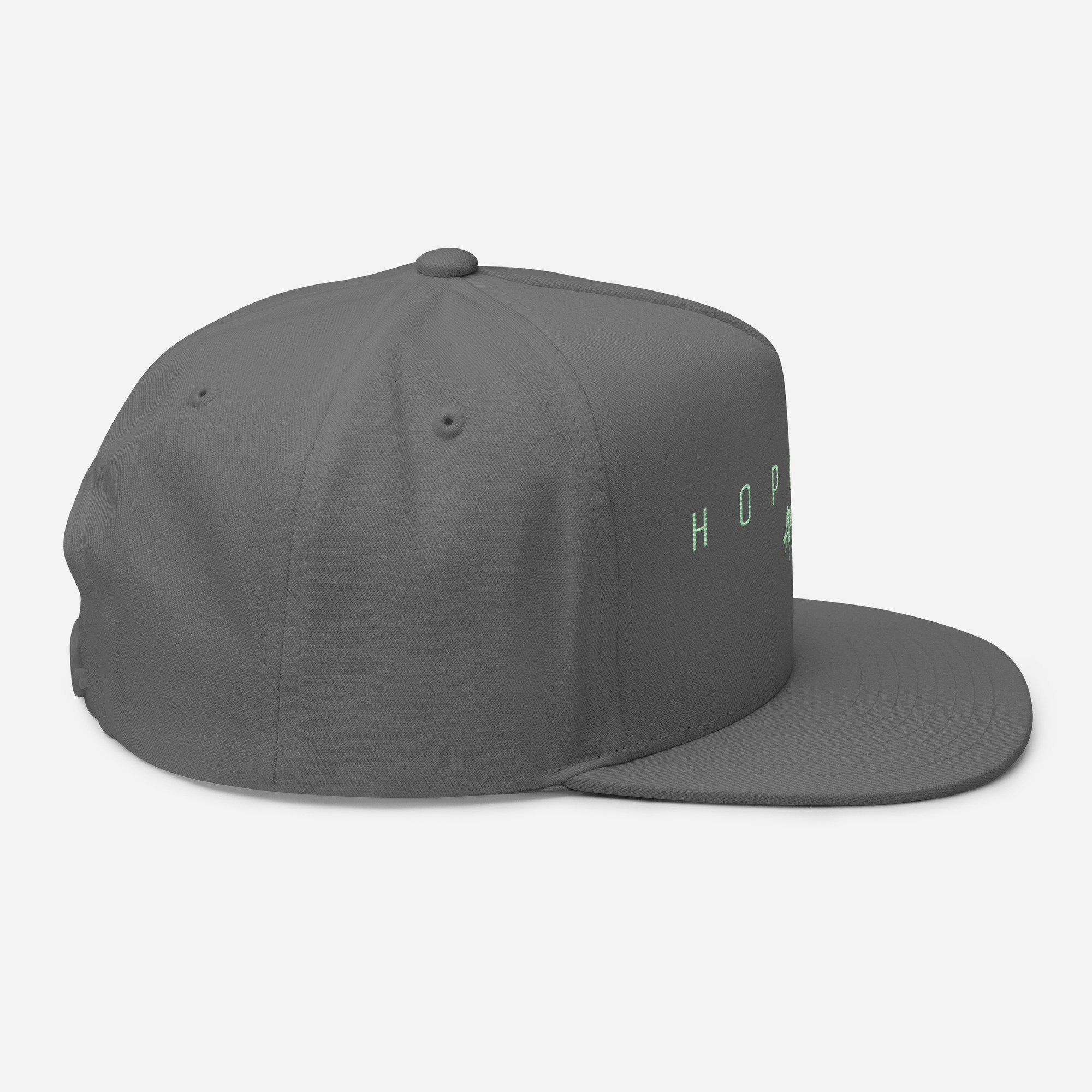 flat-bill-cap-grey-right-side-66f0abc1e6f4a.jpg