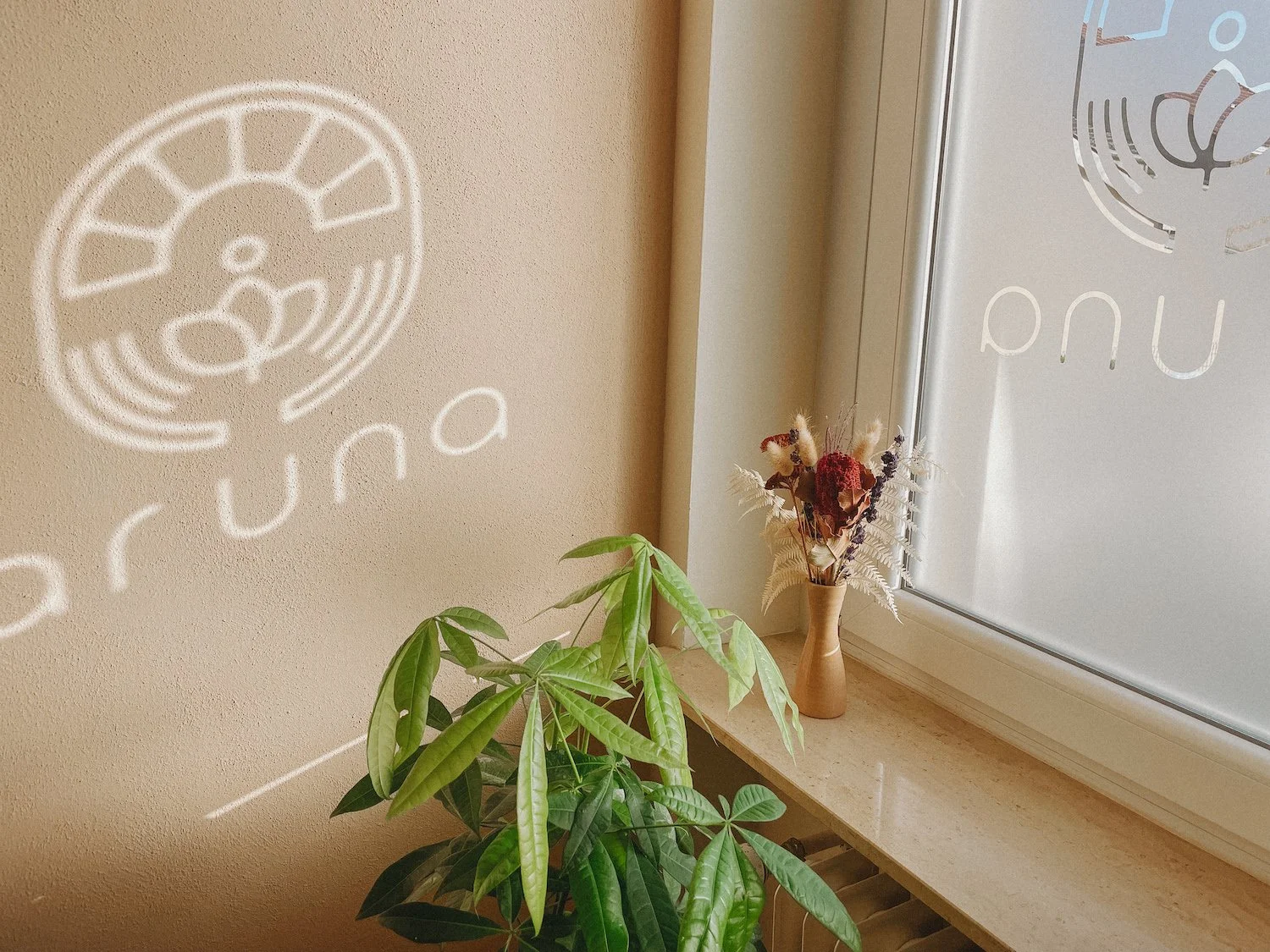 Ein Behandlungsraum zur Kinésithérapie und Osteopathie mit dem Logo an der Wand und einer Grünpflanze