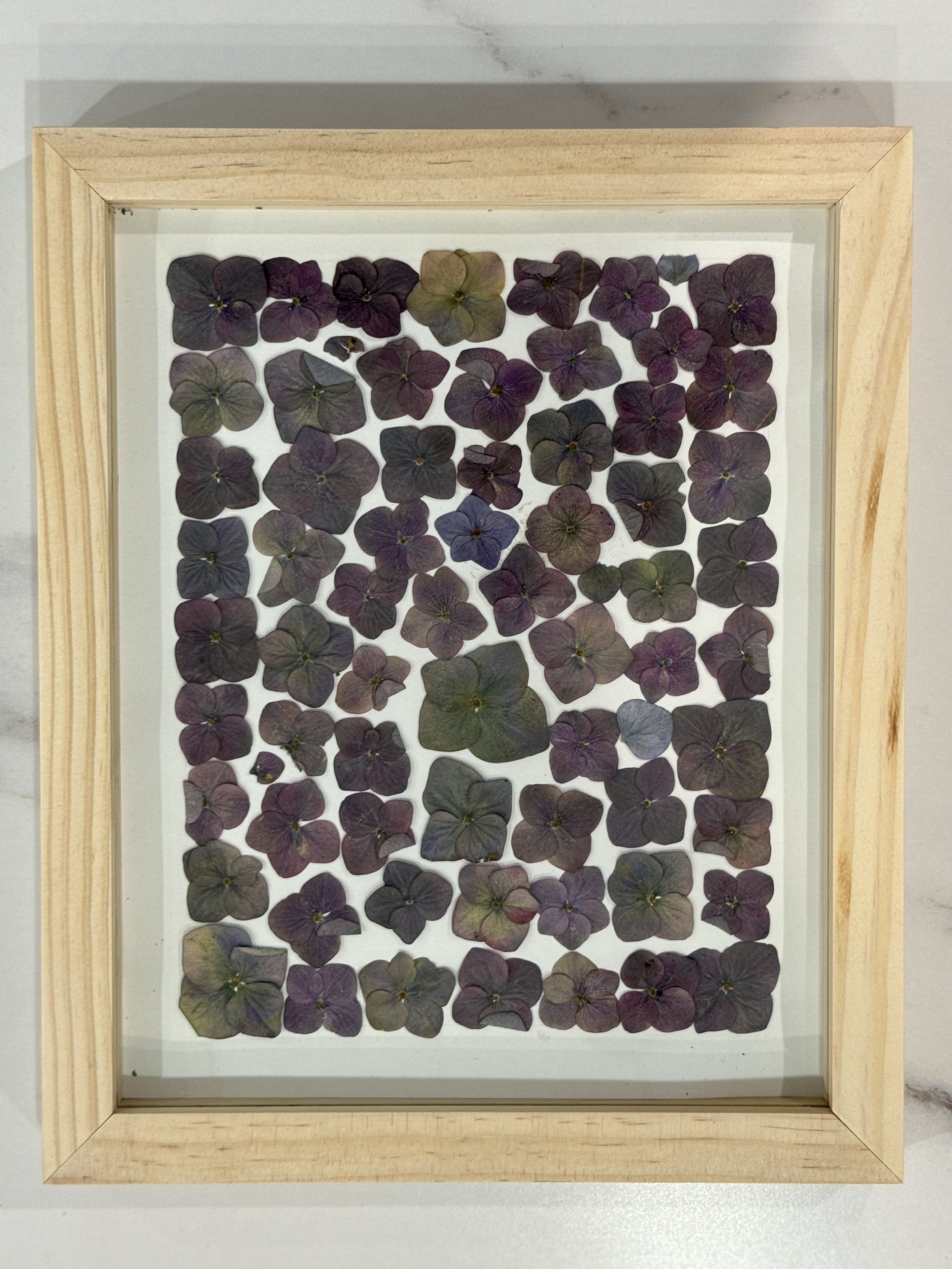 Frame M