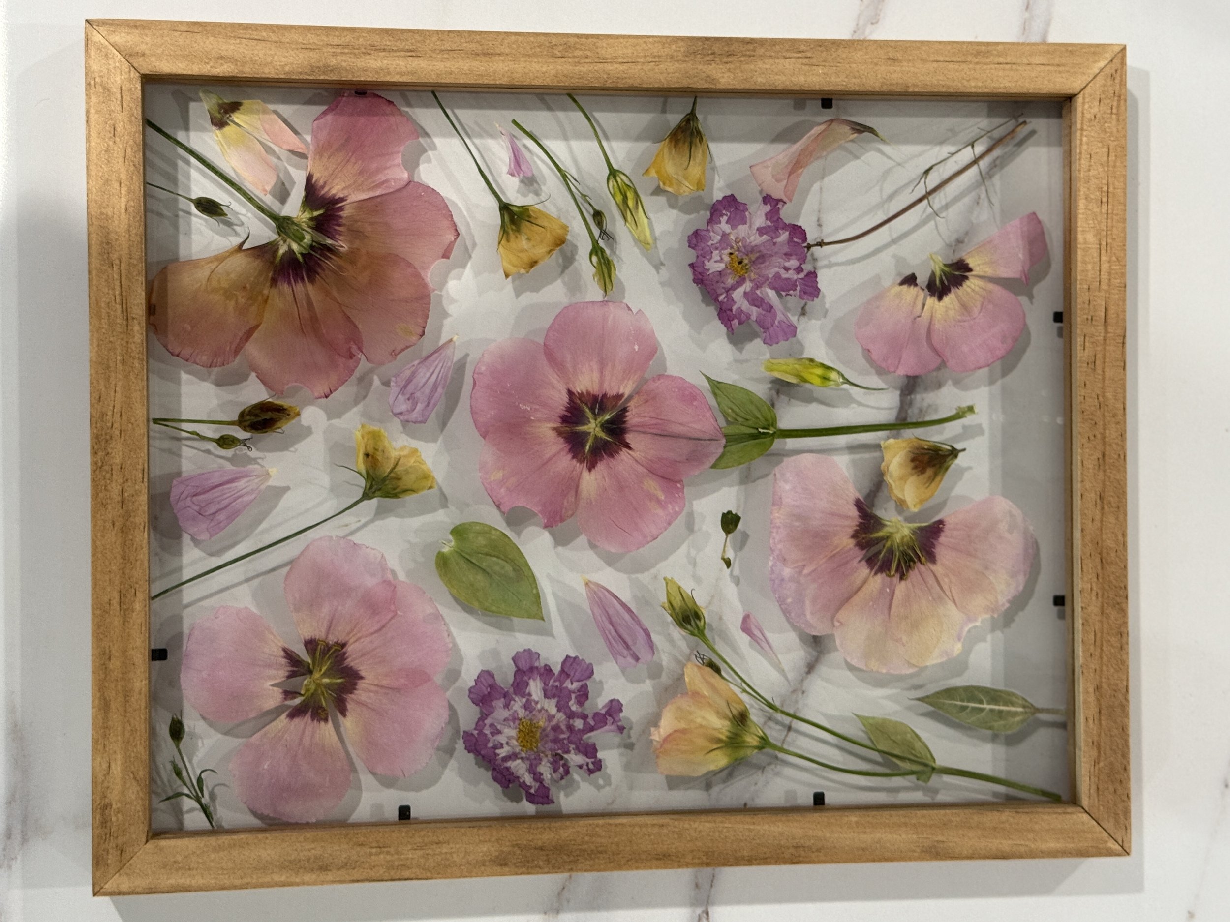 Frame B