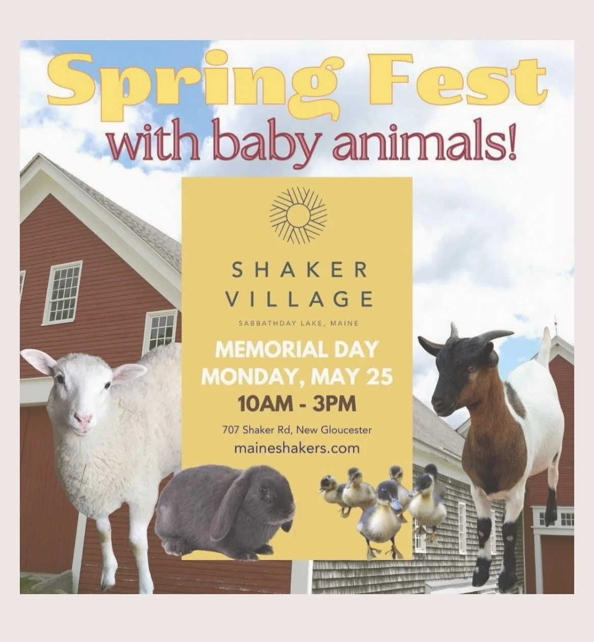 Rain or shine, we&rsquo;ll be here today from 10&ndash;3 at Shaker Village Spring Fest ☔️☀️

Come spend the day with us alongside so many amazing local vendors, food trucks, and yes&hellip; LOTS of baby animals 🐐🐑🐥

The sun is bound to start peeki