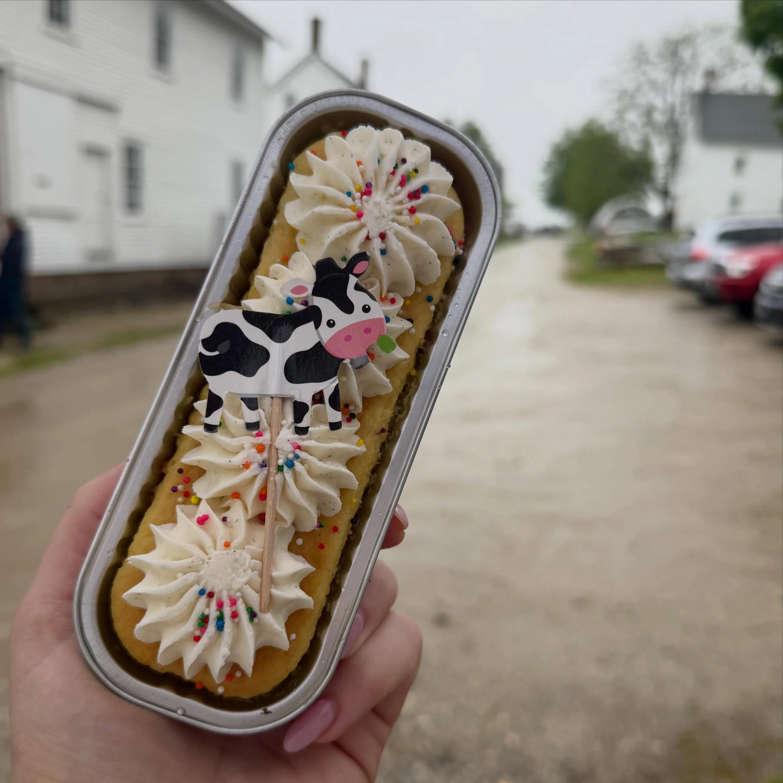 Vanilla bean mini cakes have been stealing the spotlight these past few weeks, so we decided to give them a little farm-inspired twist for Spring Fest at Shaker Village 🌿🐄✨

You can find assorted vanilla bean mini cakes with us at Spring Fest today