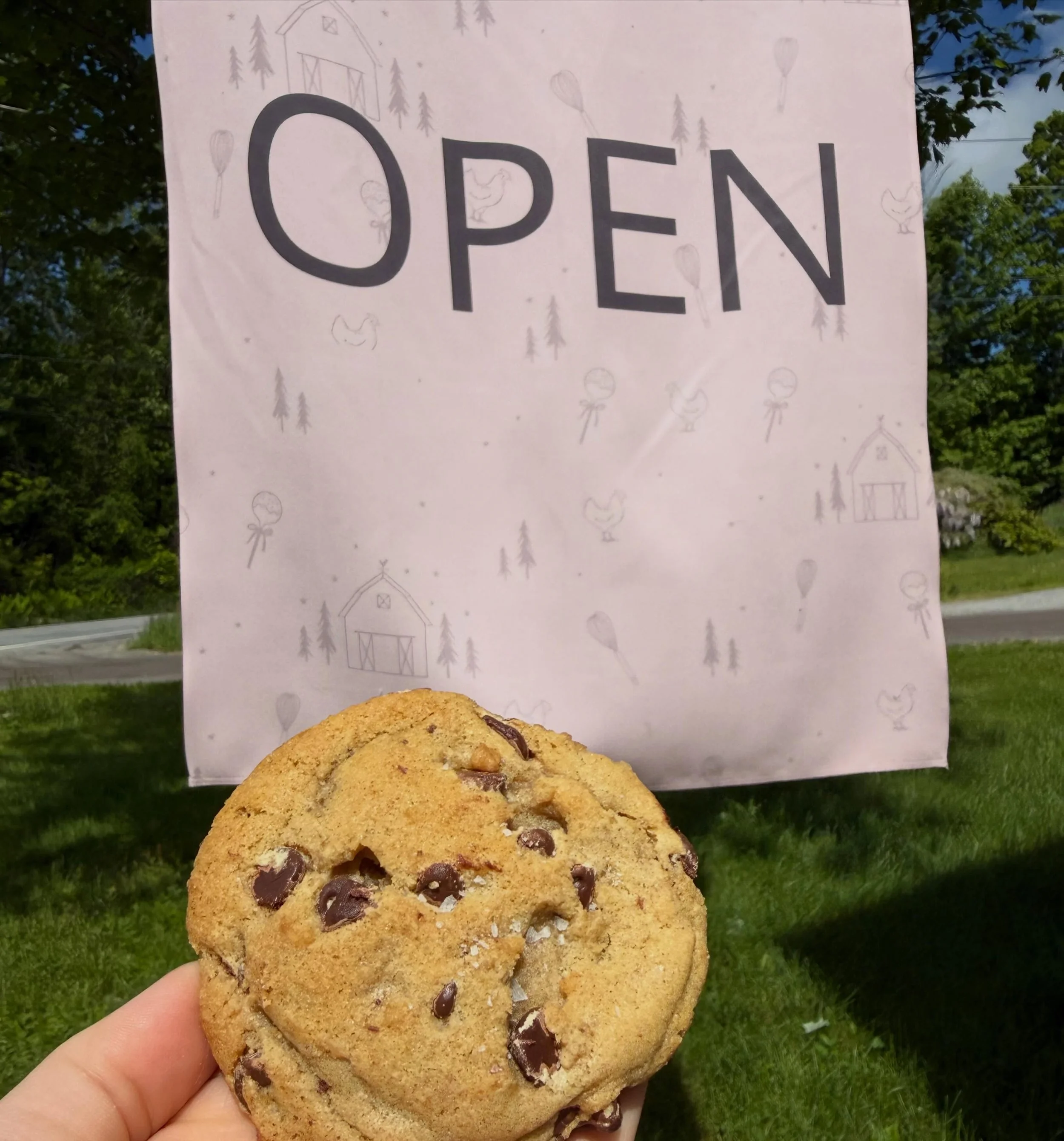 Surprise! We&rsquo;re open again today! 🎉

We&rsquo;ve got a limited amount of fresh sourdough blueberry muffins, and chocolate chip dipped cookies waiting for you. Once they&rsquo;re gone, they&rsquo;re gone, so be sure to stop by and grab your fav
