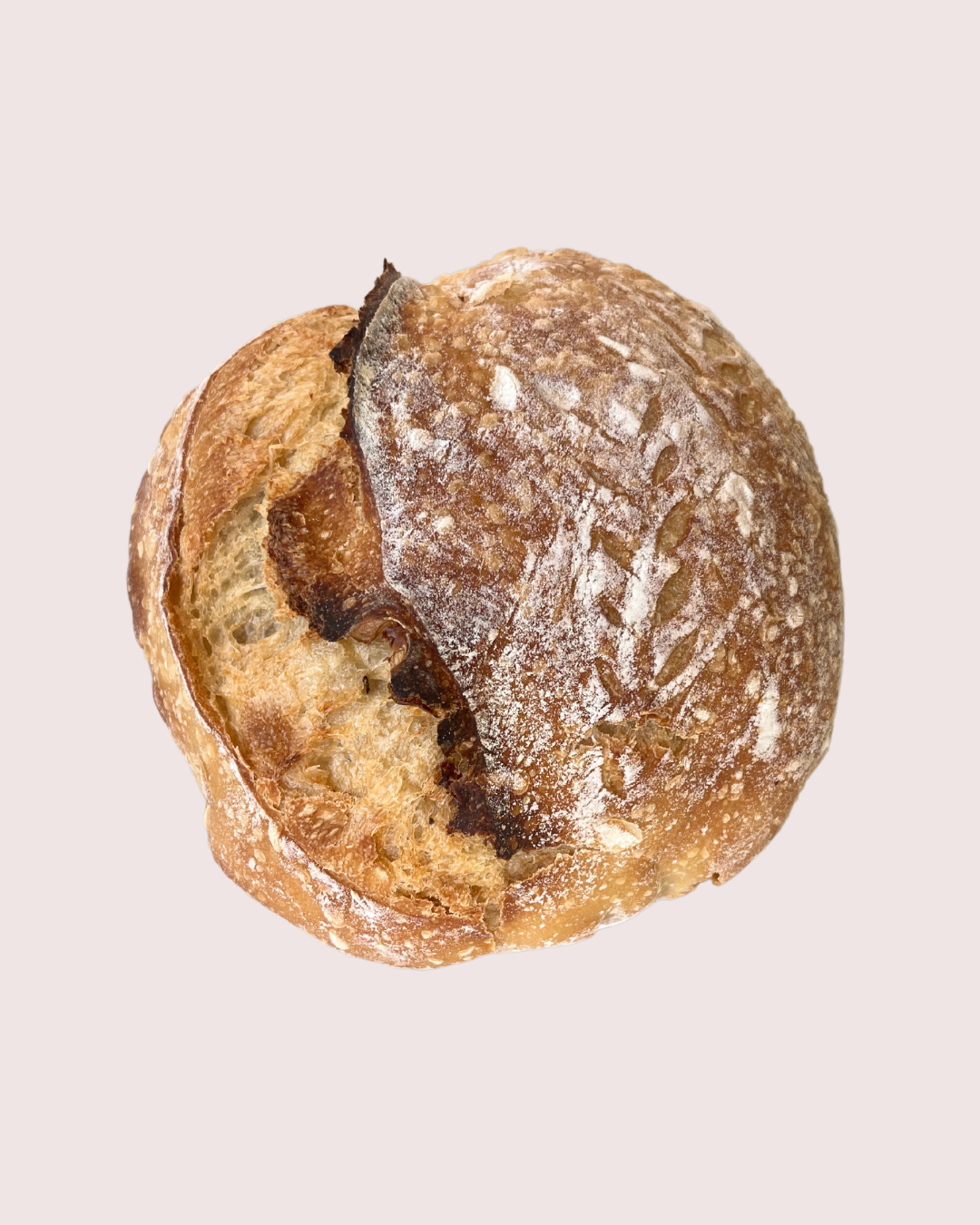 Sourdough - Traditional Loaf