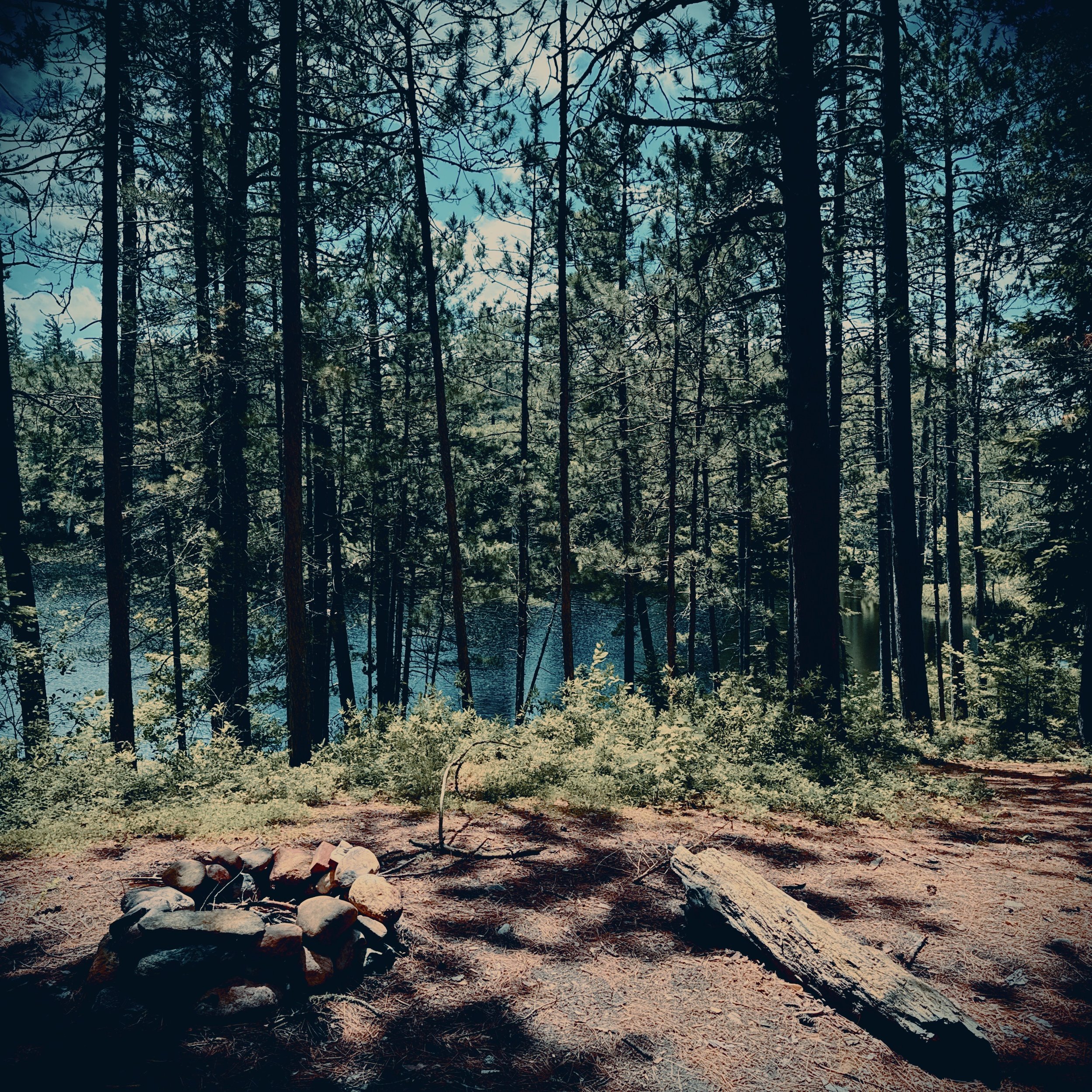 Fire or Facepalm: Dos and Dont’s for NYSSMA Percussion Adjudication