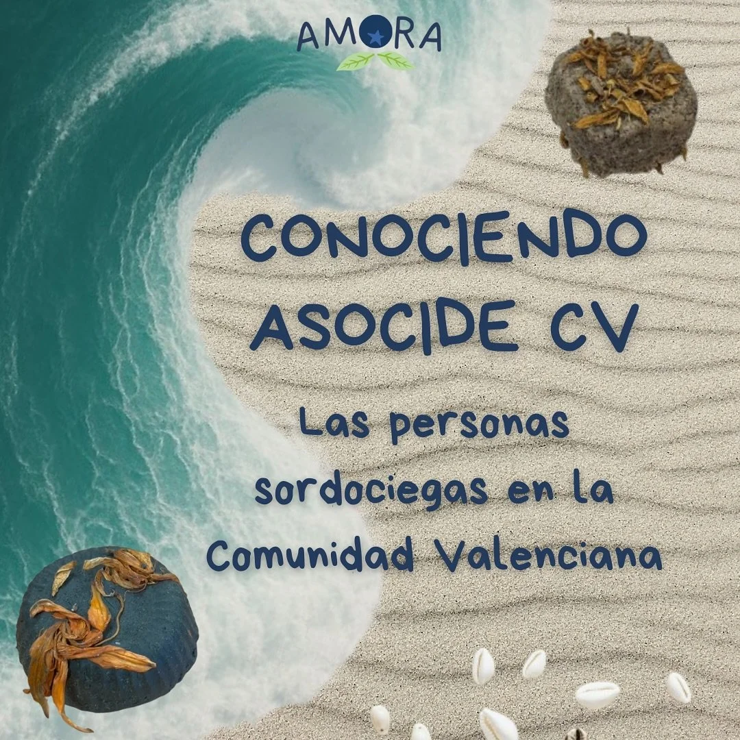 🤝 Conociendo ASOCIDE Comunidad Valenciana

Las personas sordociegas tienen derecho a decidir sobre su vida, a comunicarse, a participar y a ser vistas.

En el blog te contamos qui&eacute;nes son, qu&eacute; hace ASOCIDE CV y por qu&eacute; es tan im