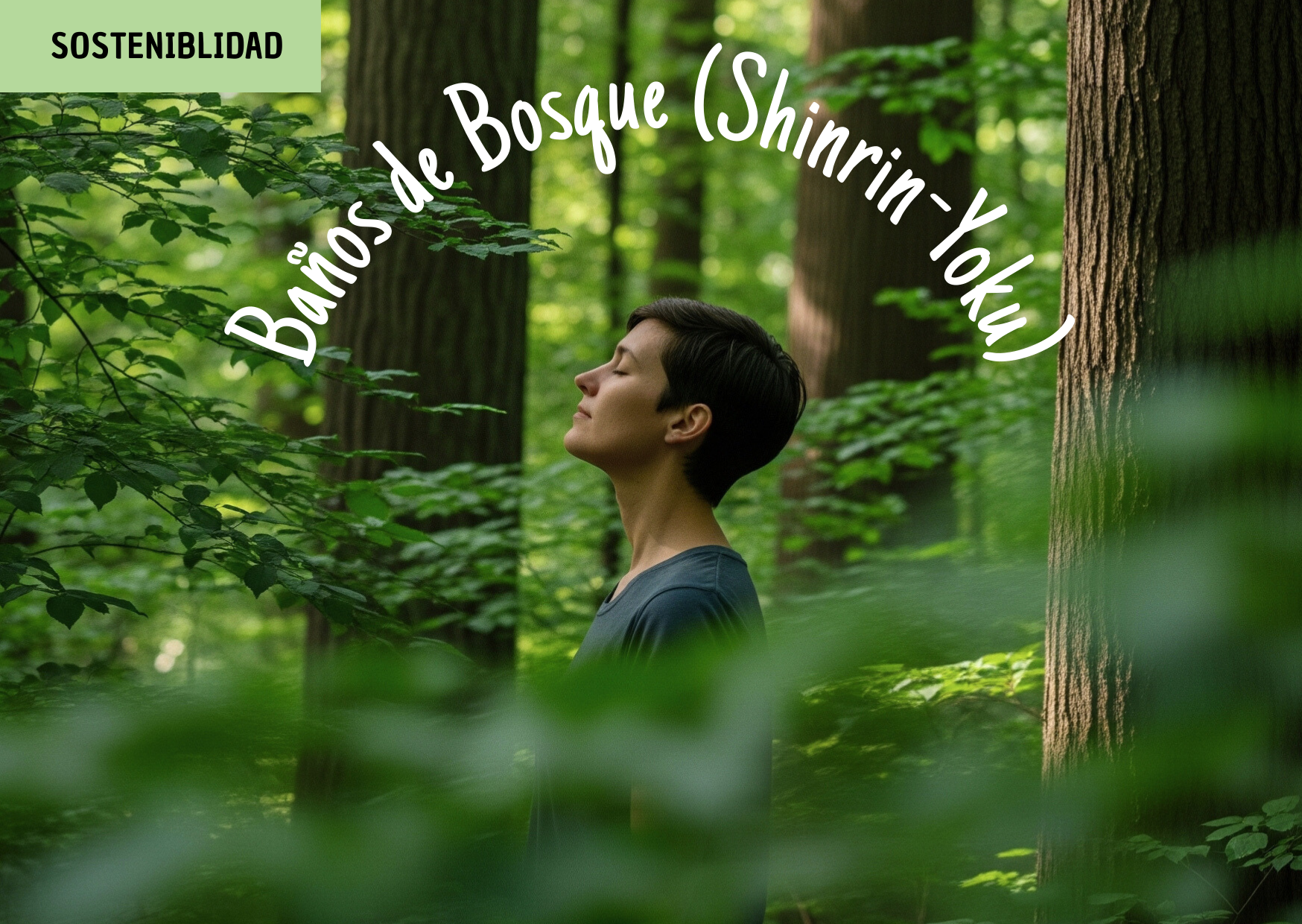 Baños de Bosque (Shinrin-Yoku)