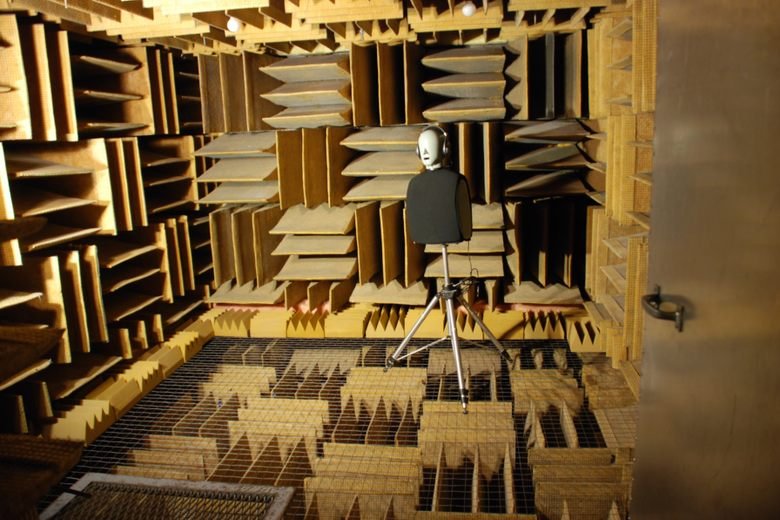 HATS (Head and Torso Simulator) in Anechoic Chamber