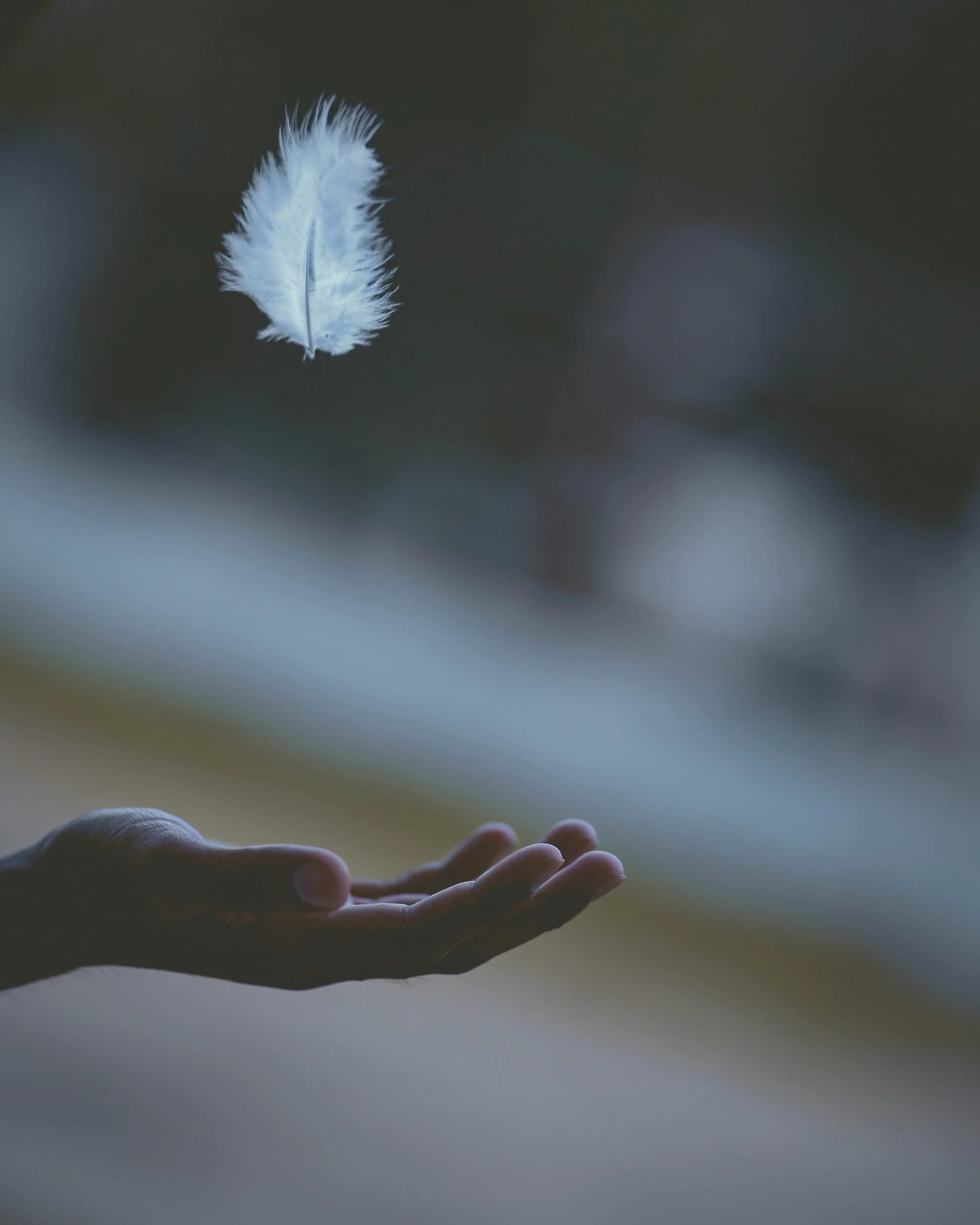 photo of a fluffy white feather above and an outstretched open hand below