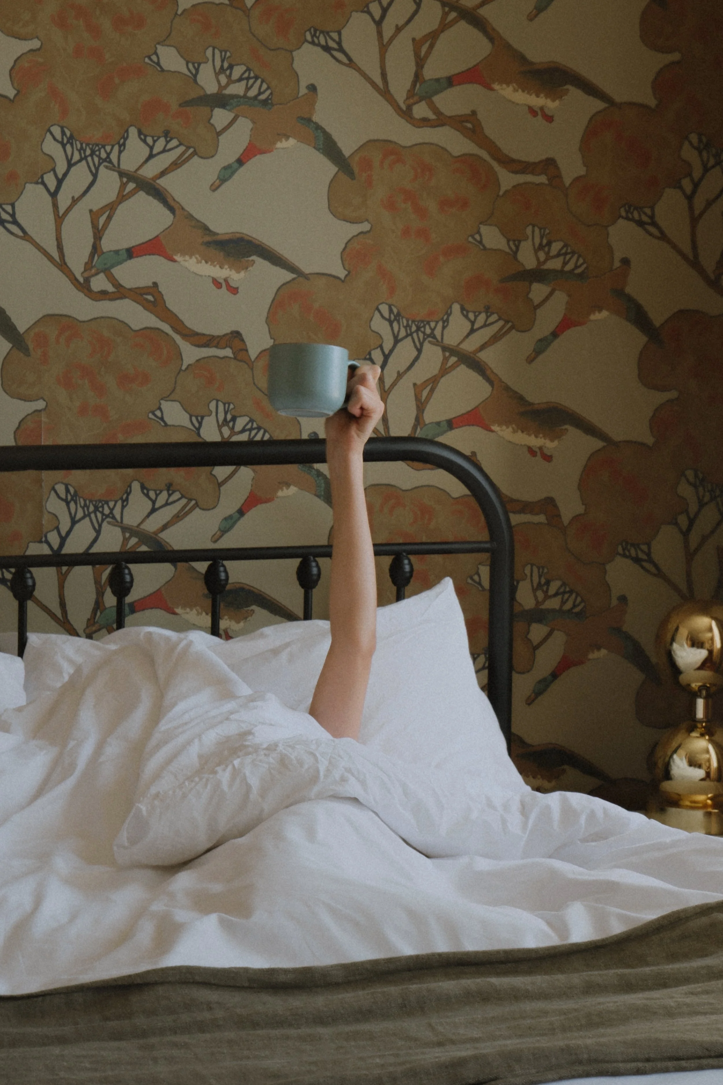 Kingston Carriage House_Breakfast-in-bed.JPG