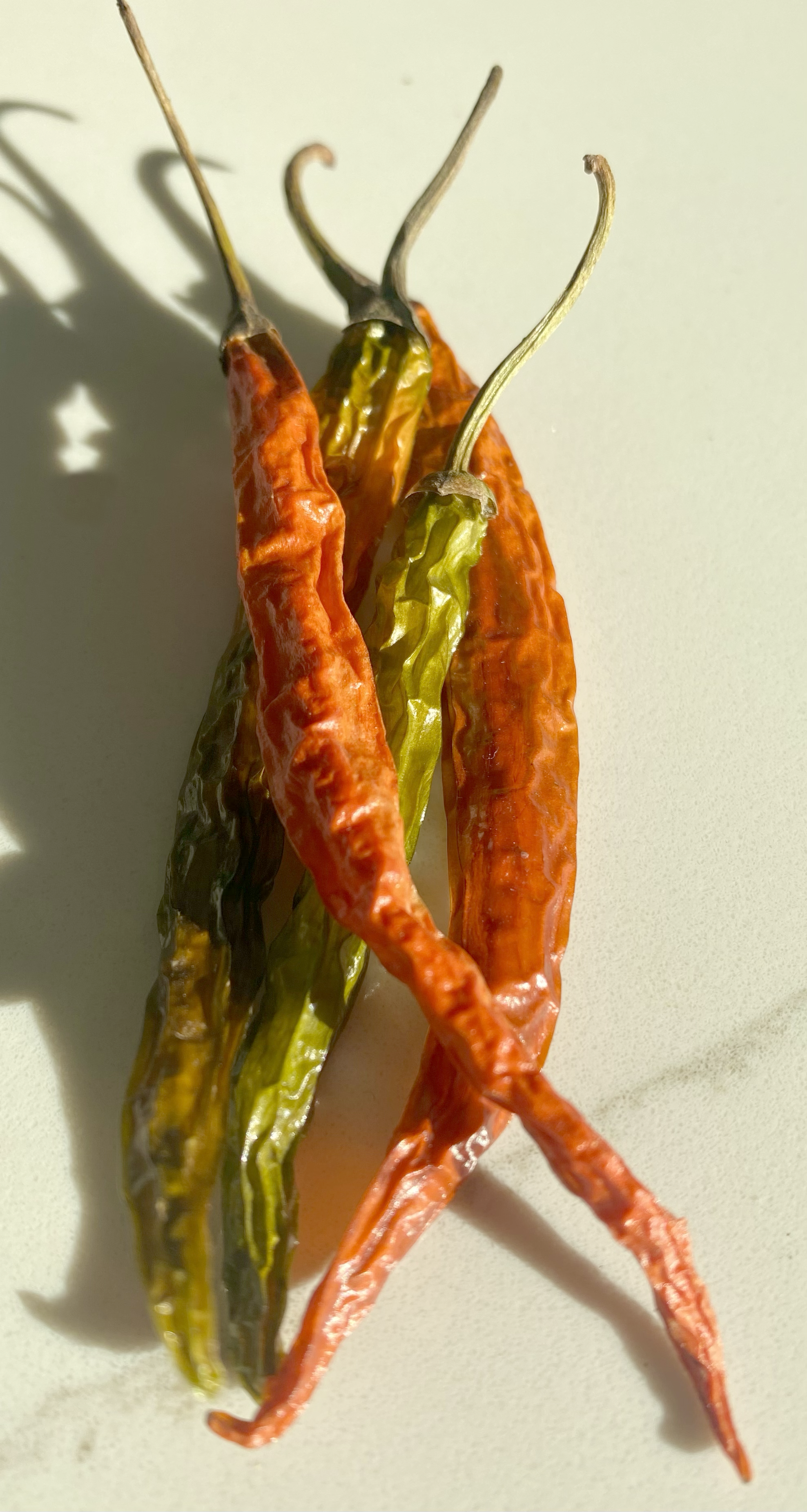 Cayenne Peppers - whole dried 20g bag