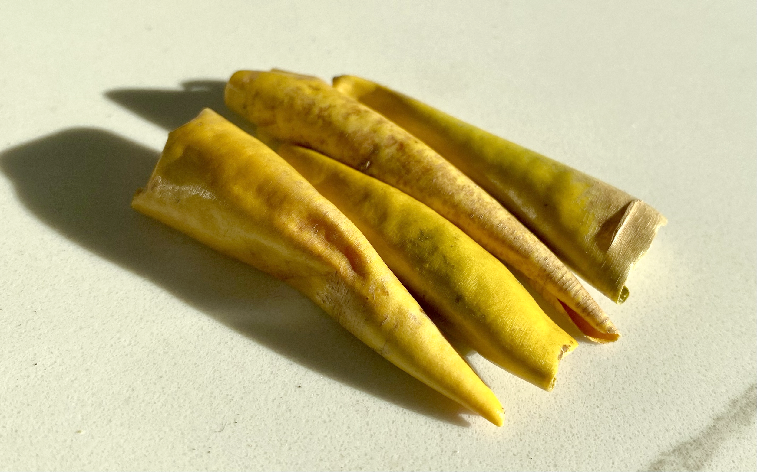 carrotbomb.png