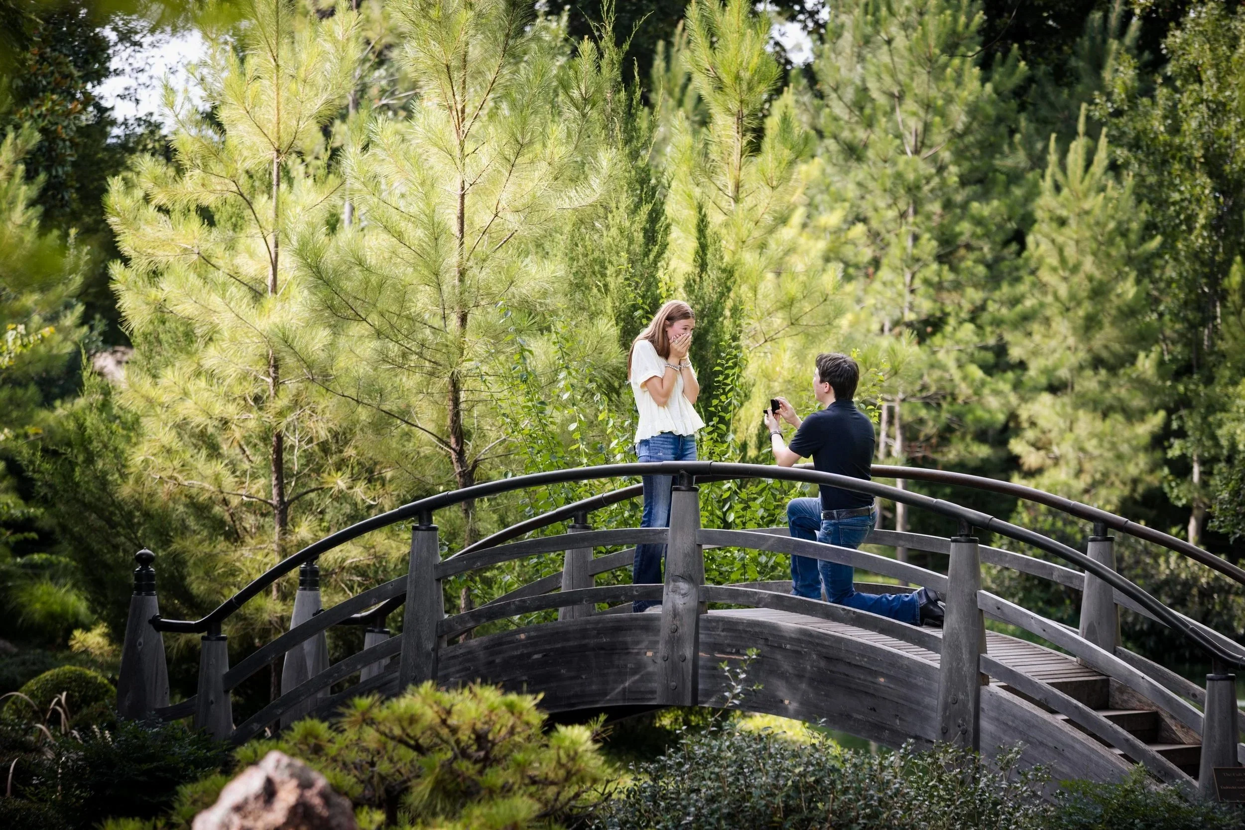 A man kneeling on one knee on a small arched wooden bridge, proposing to a woman in a white blouse and jeans, surrounded by tall green pine trees.