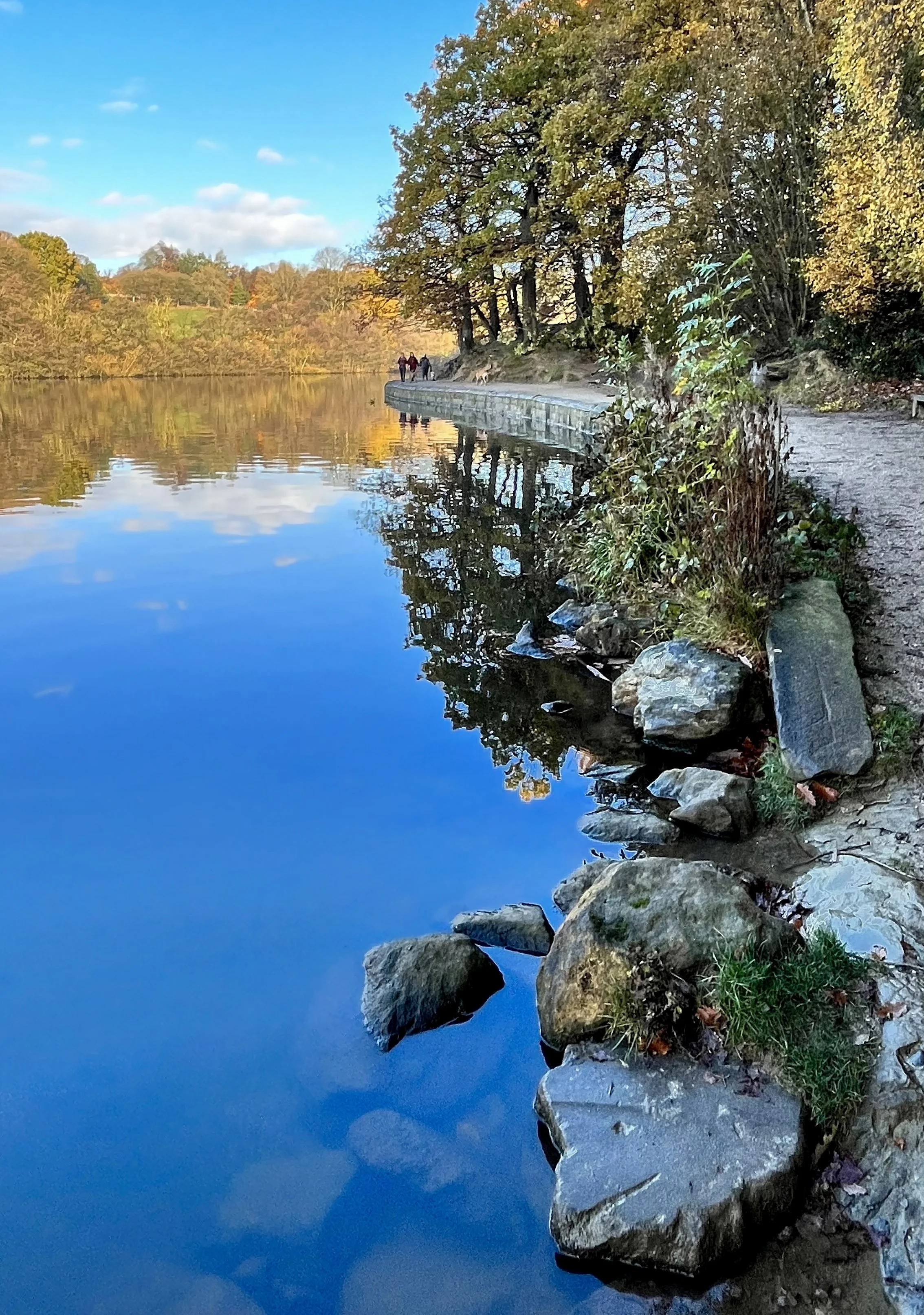 a bright sunny morning of blue sky and still waters of the lakeside with stones and reflections. Roundhay Park, Leeds