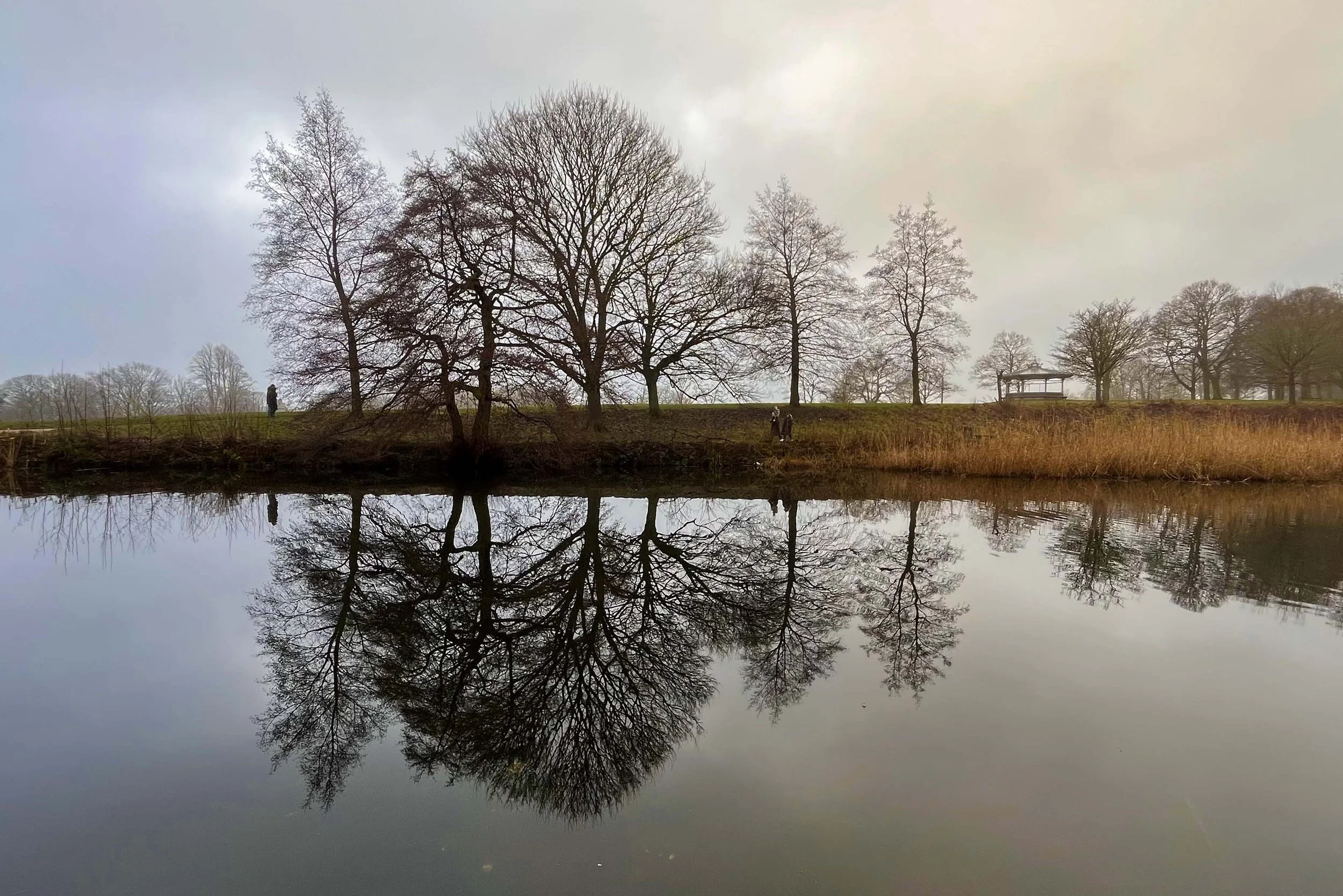 A calm lake reflecting leafless trees on a cloudy day in a park.