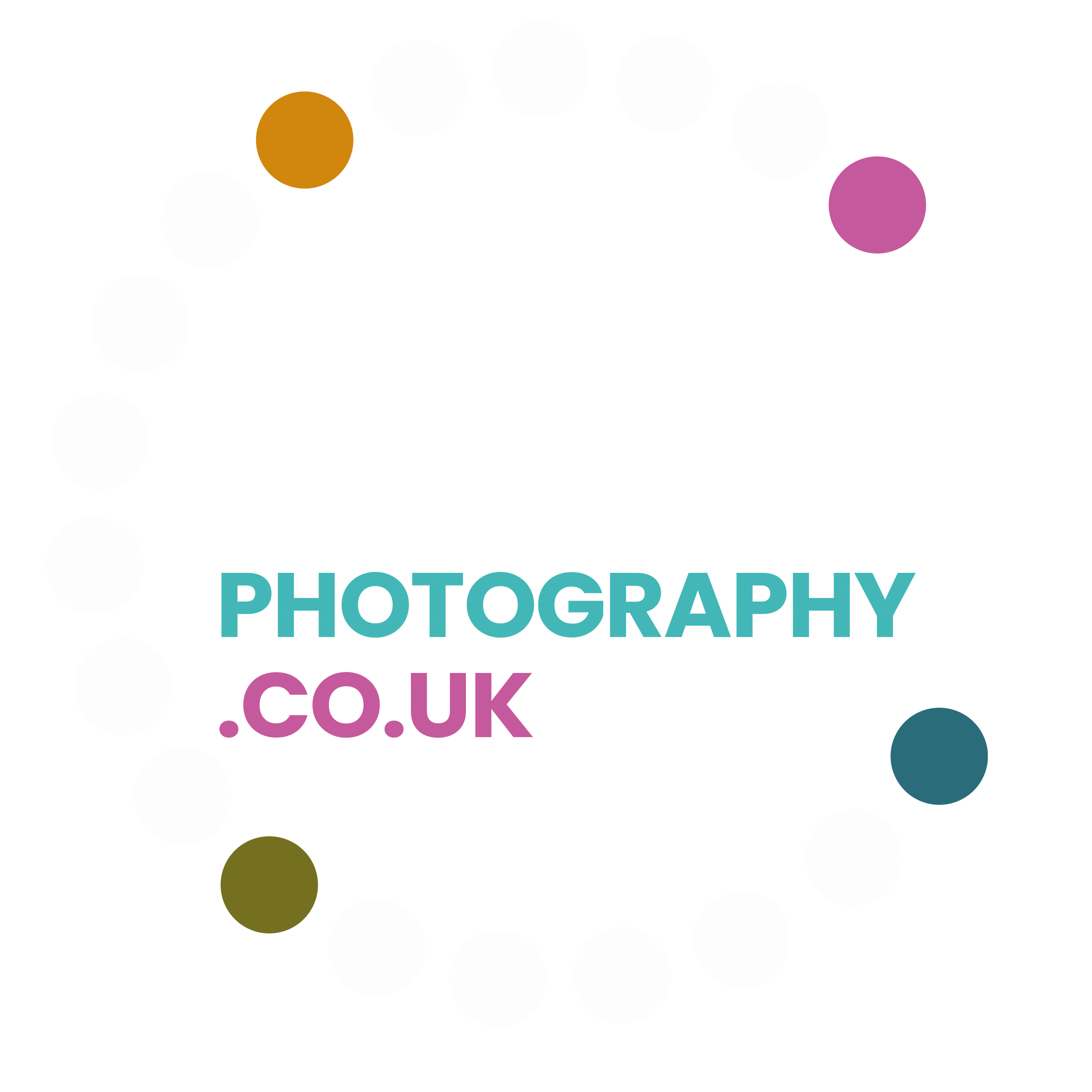 david cole photography logo