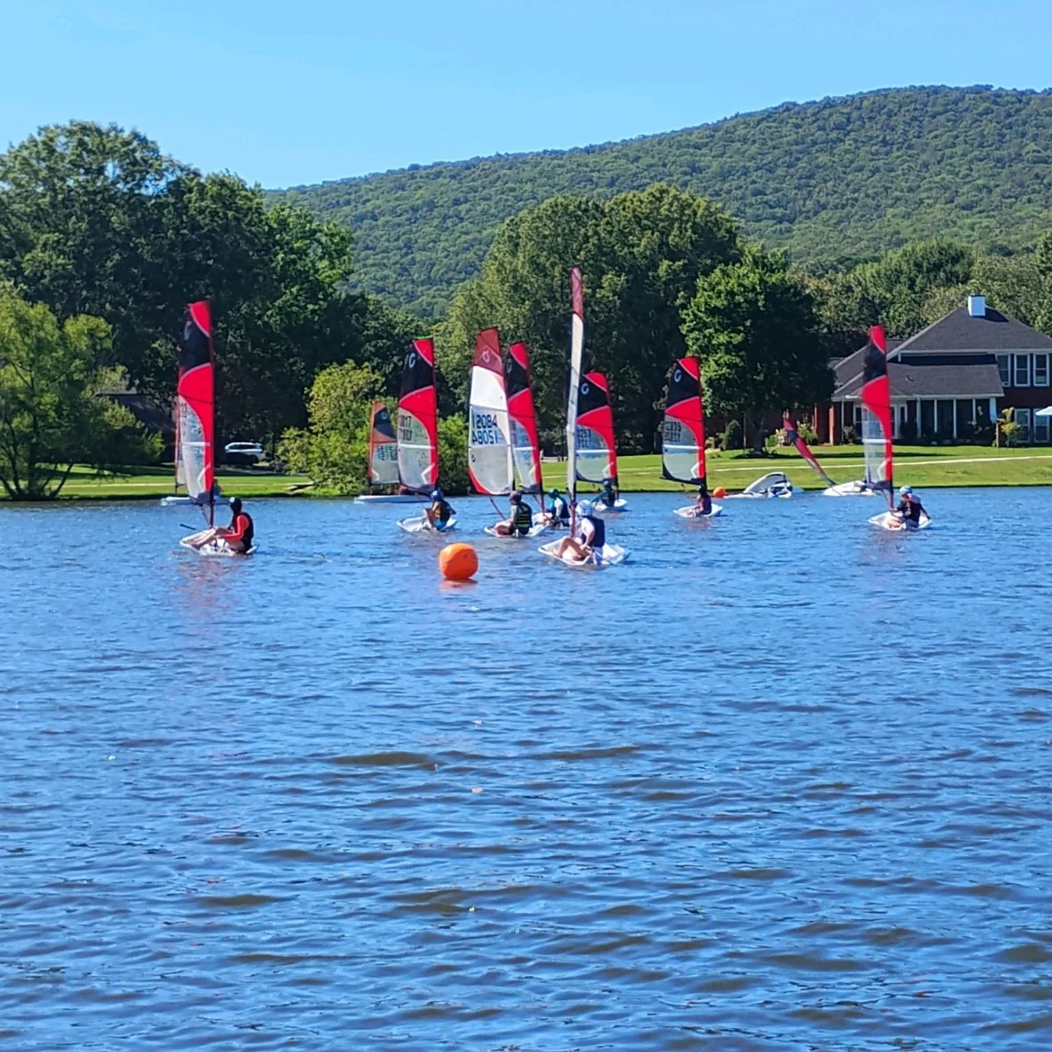 A group of people windsurfing on a lake with sailboats, in a scenic area with green trees and hills in the background.