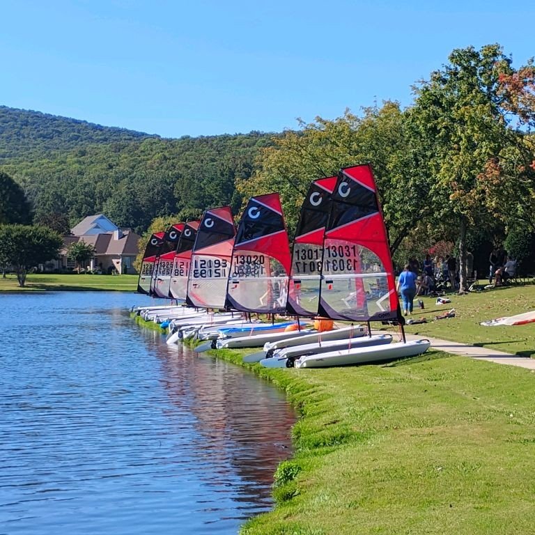 Multiple small sailboats with colorful sails lined up on the grassy shore beside a lake, with trees and houses in the background under a clear blue sky.