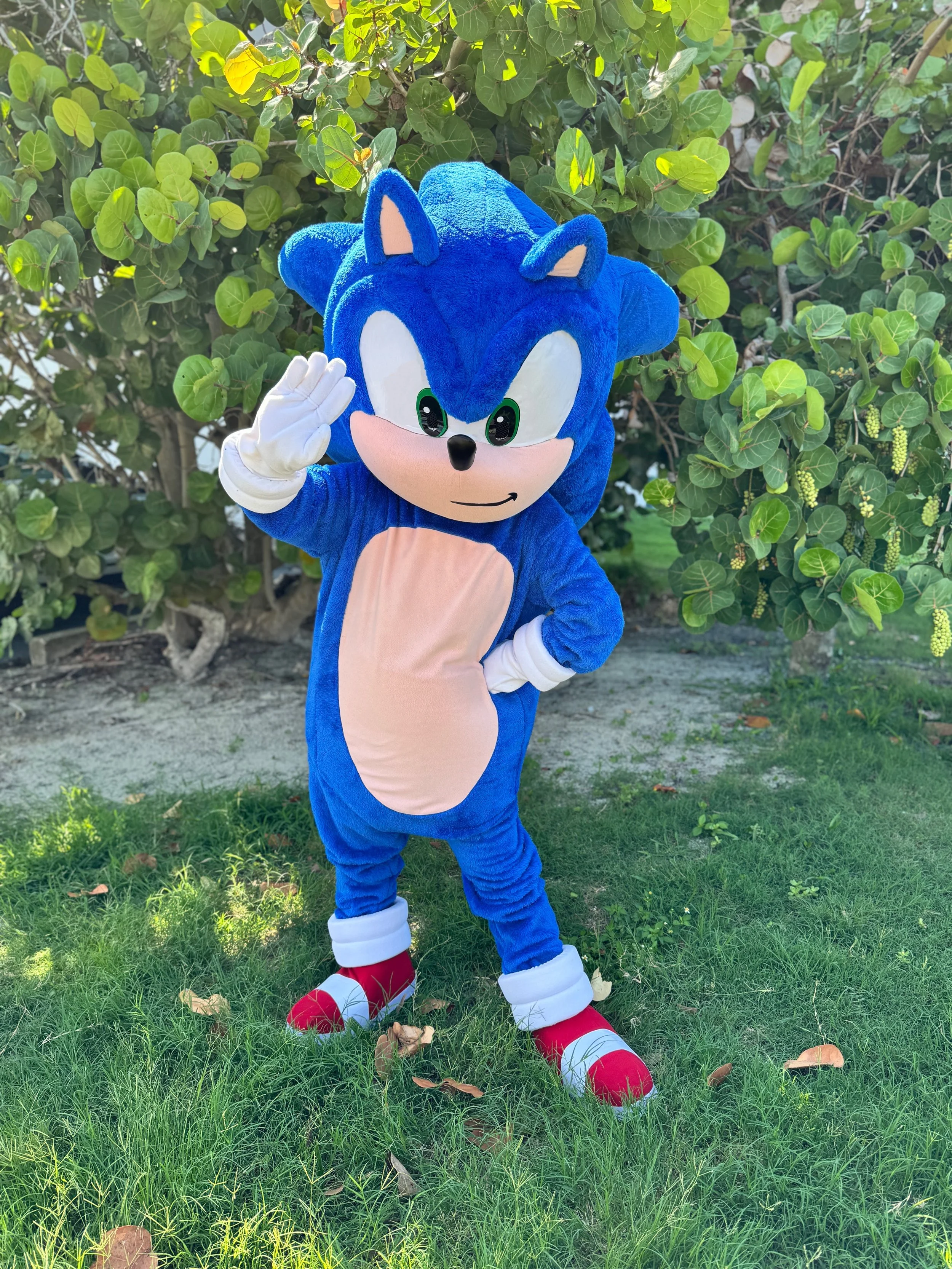 Sonic-Hedgehog-Character-Entertainment-Waving-Hi.JPG