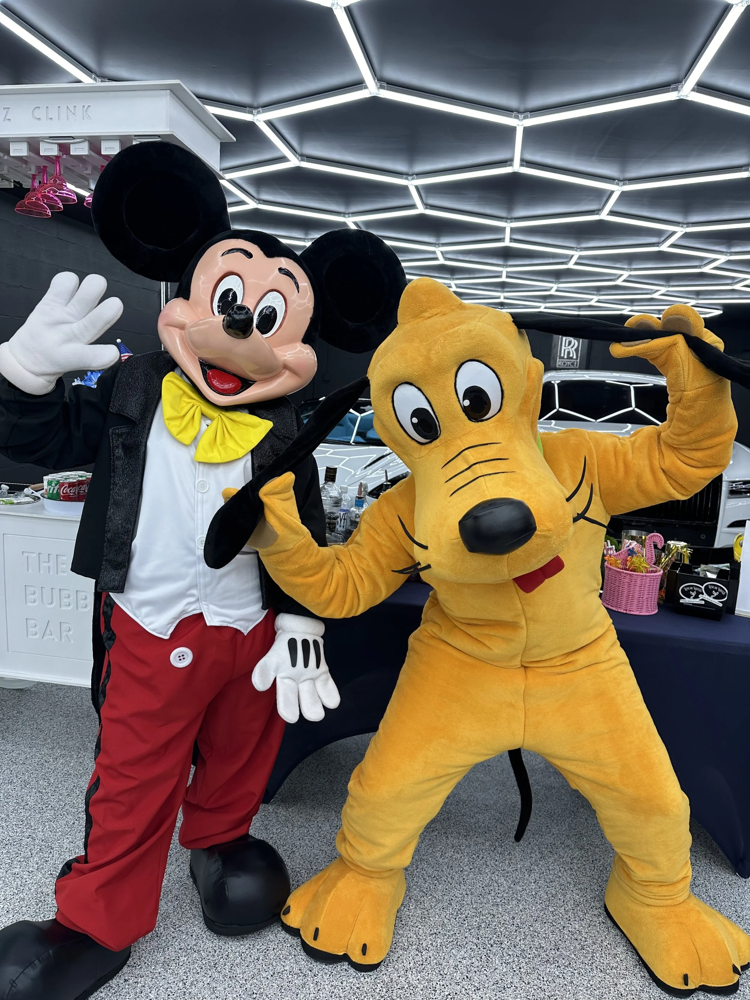 10 Steps to a Magical Mascot Party in Tampa Bay