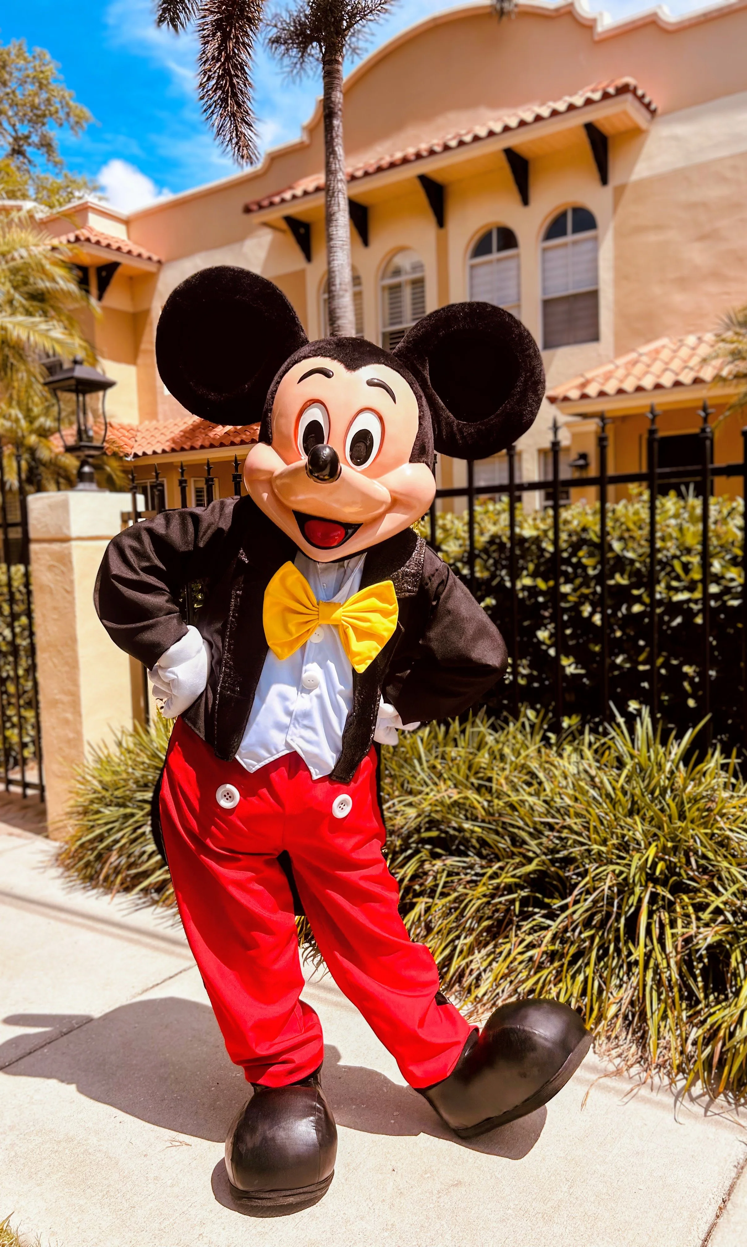 Mickey Mouse standing outside in front of a house with a palm tree about to enter and make a surprise visit at a kid's birthday celebration